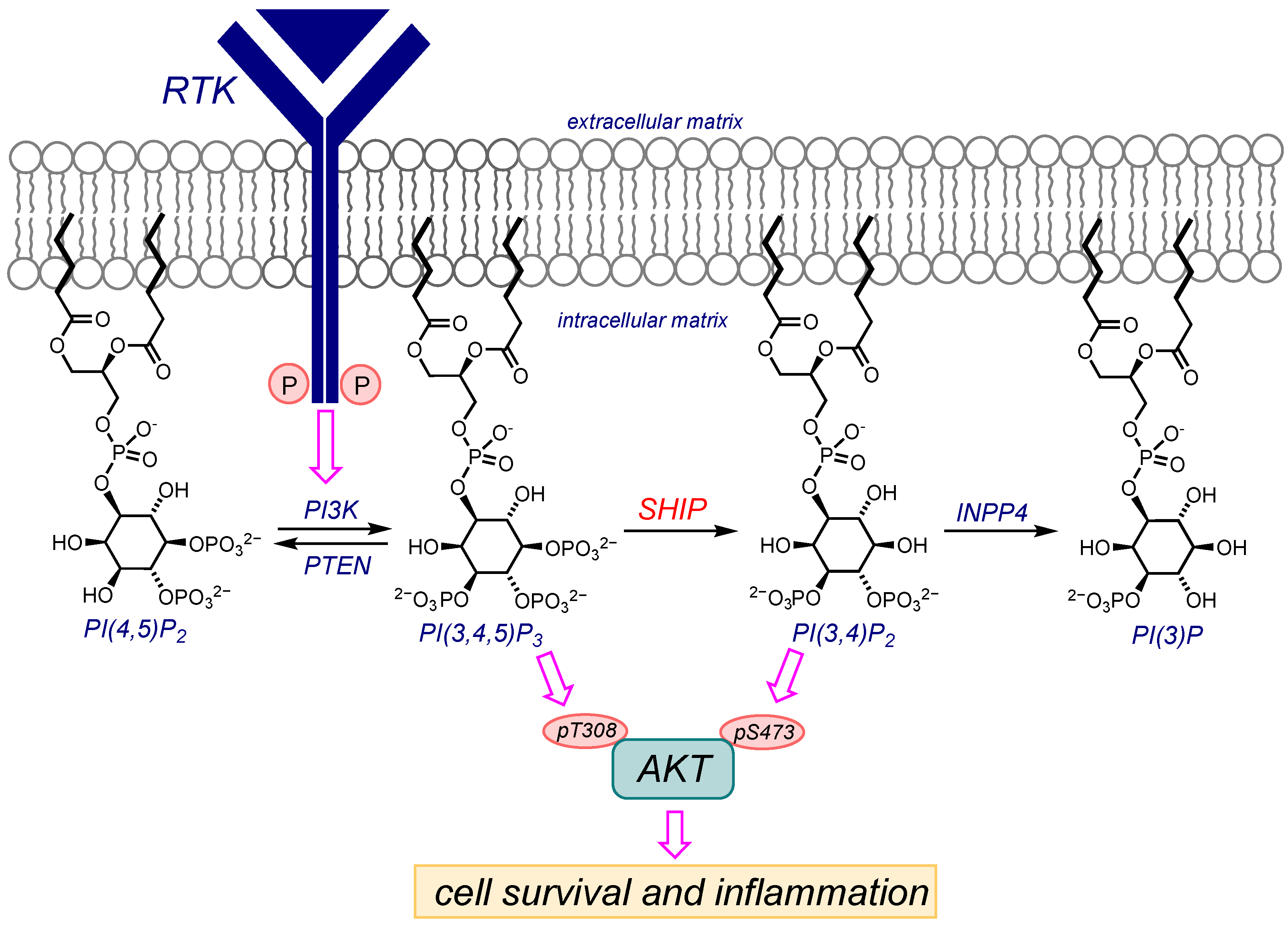 Molecules 28 08048 g001