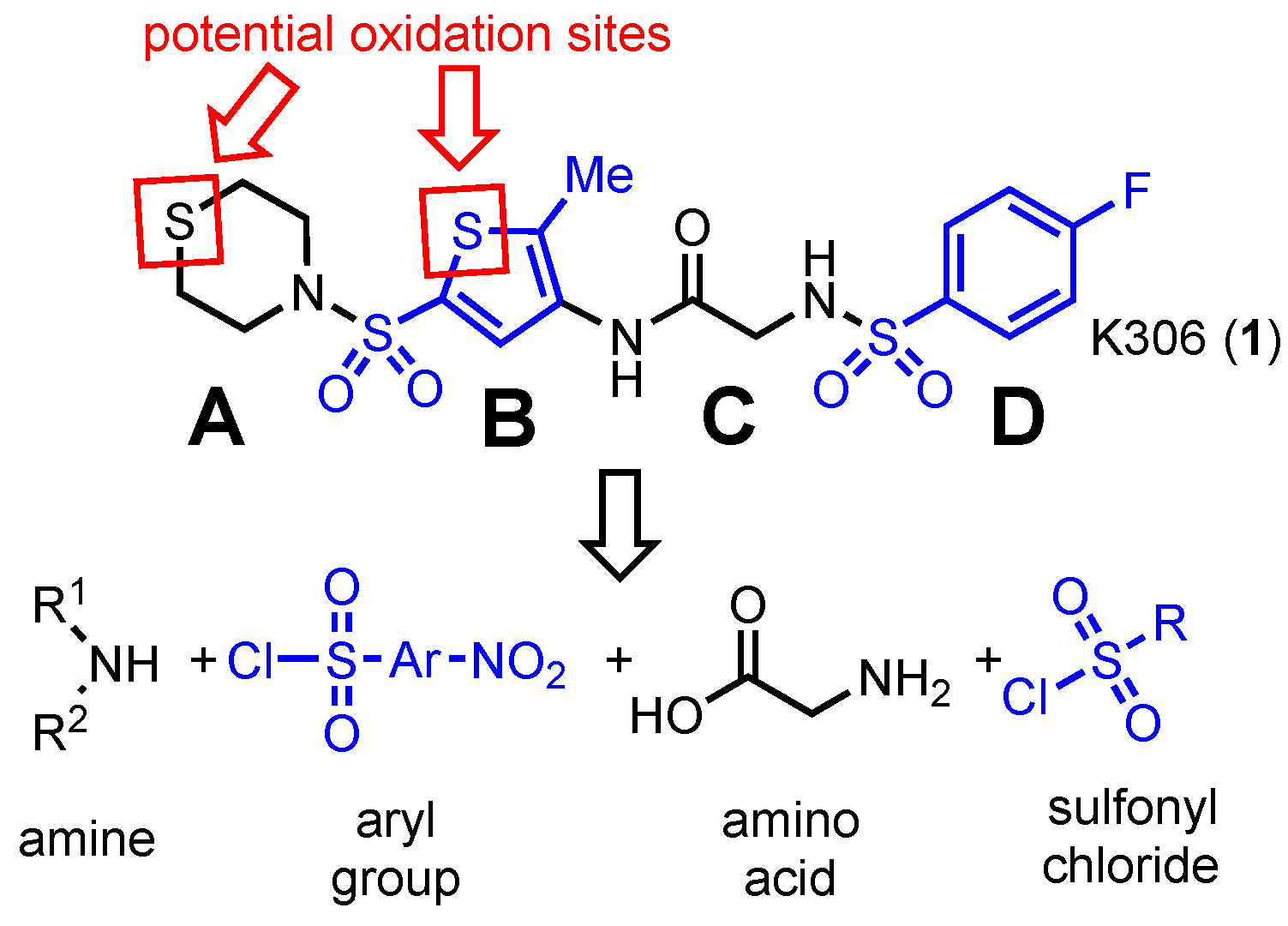 Molecules 28 08048 g002