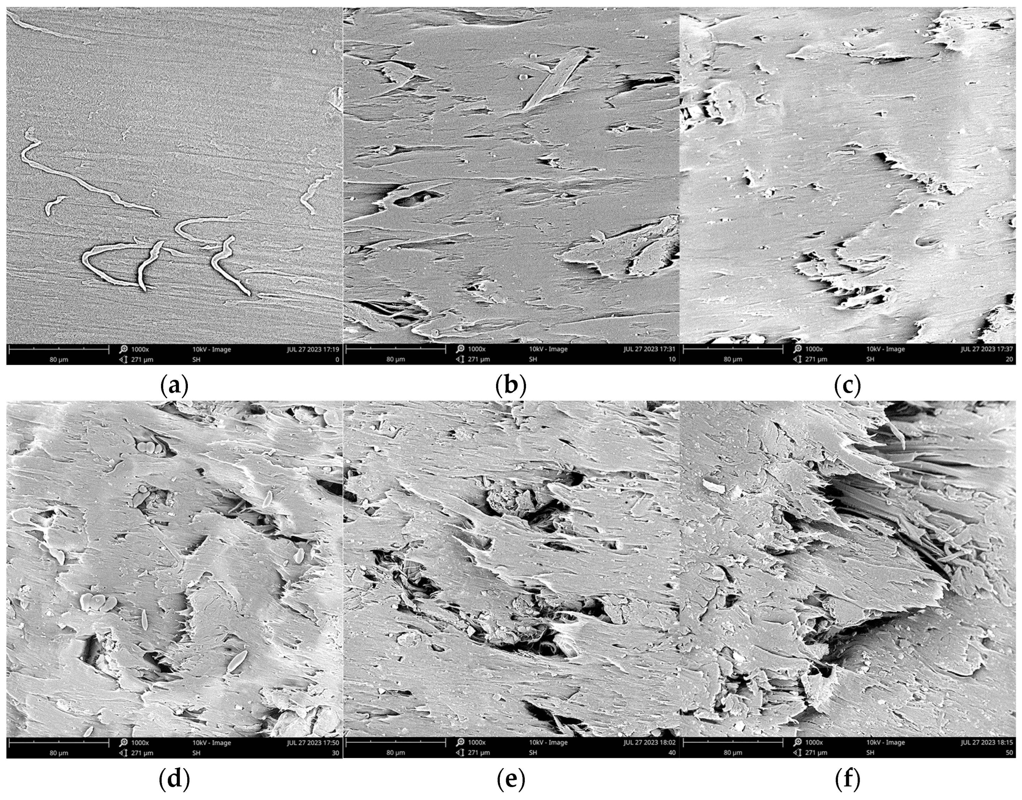 Molecules 28 08057 g006