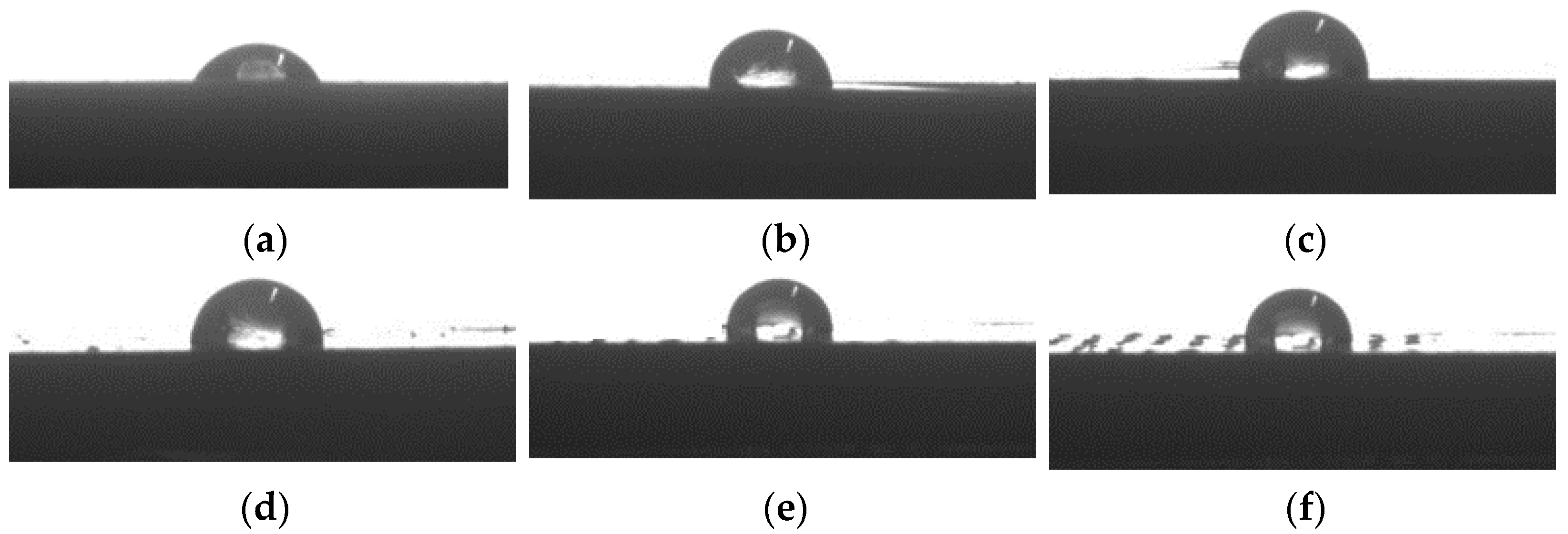 Molecules 28 08057 g007