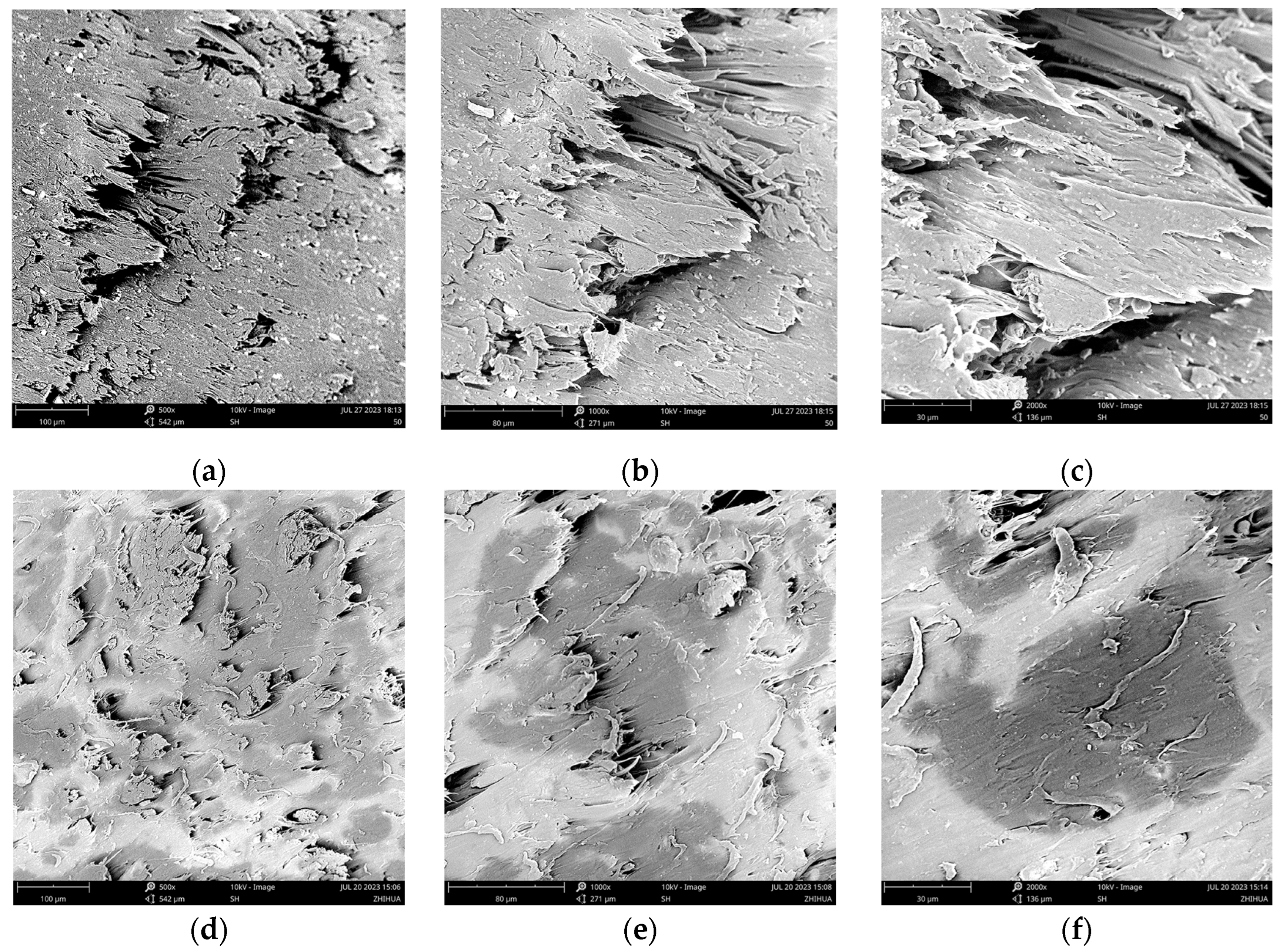 Molecules 28 08057 g009