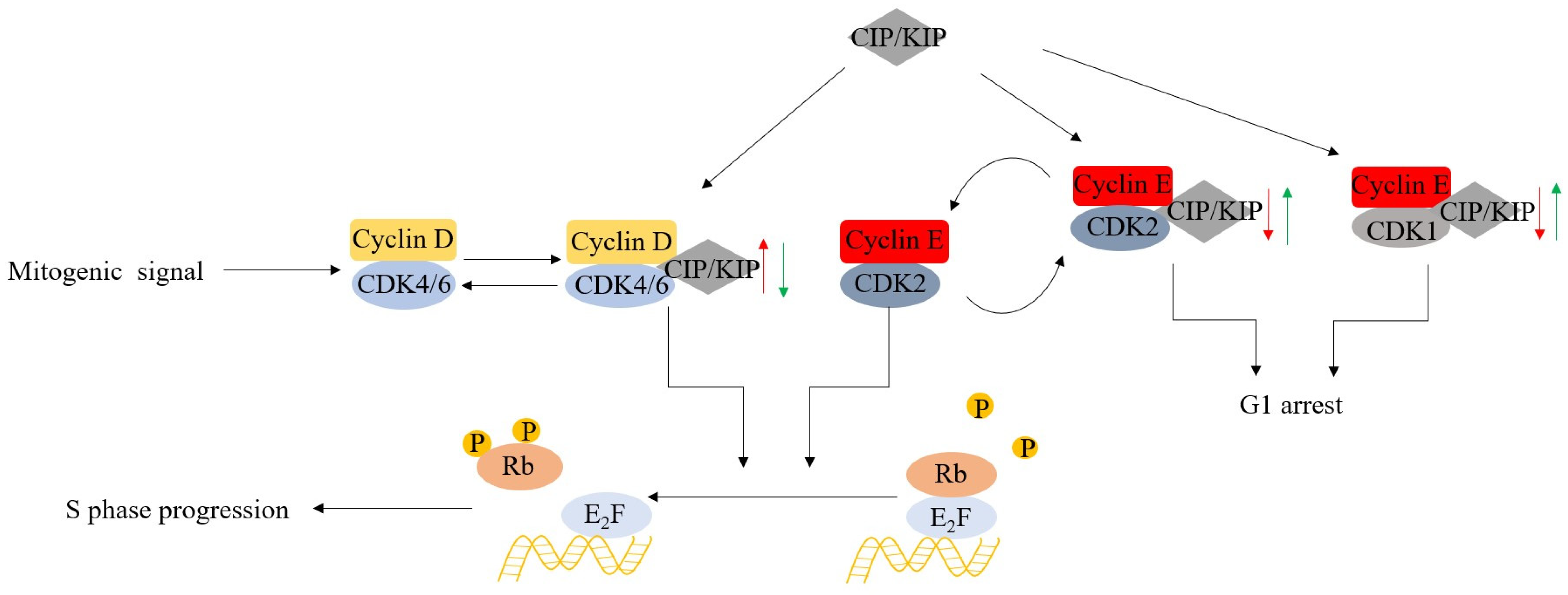 Molecules 28 08060 g003