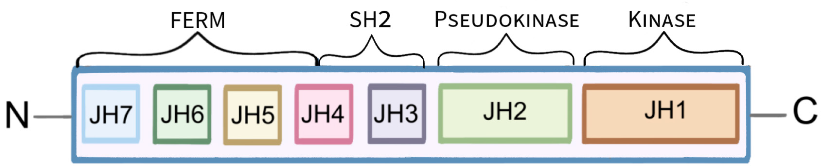 Molecules 28 08064 g001