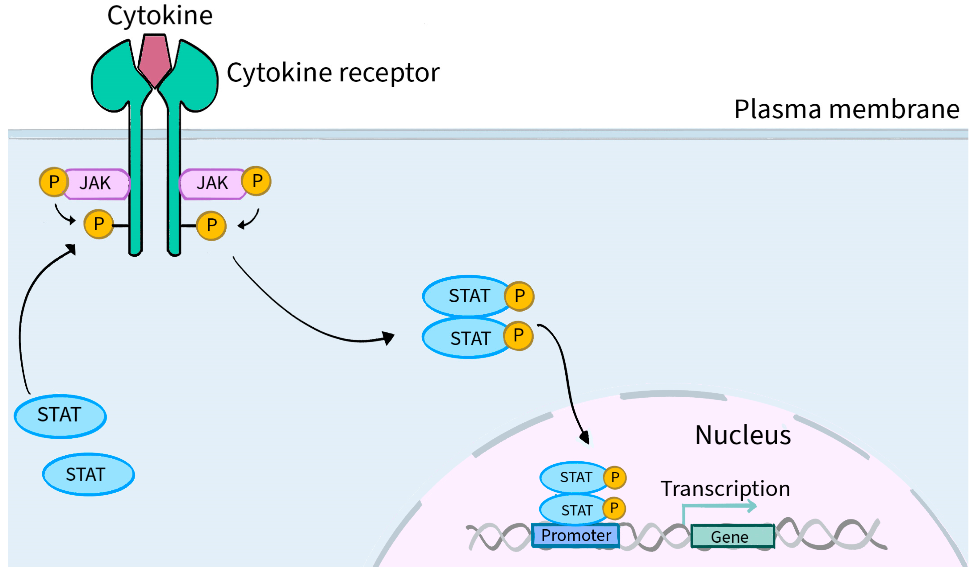 Molecules 28 08064 g002