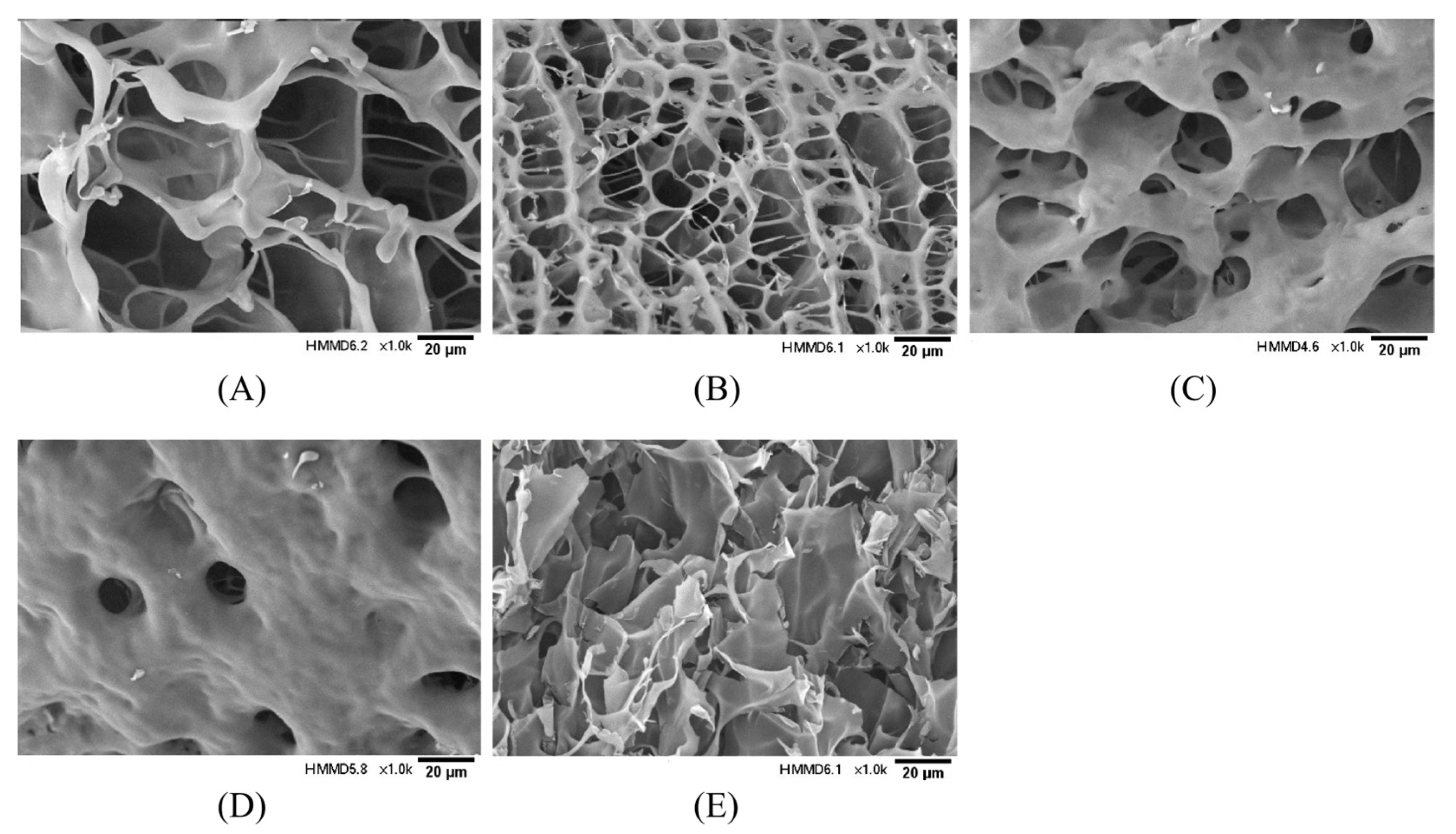Molecules 28 08070 g005