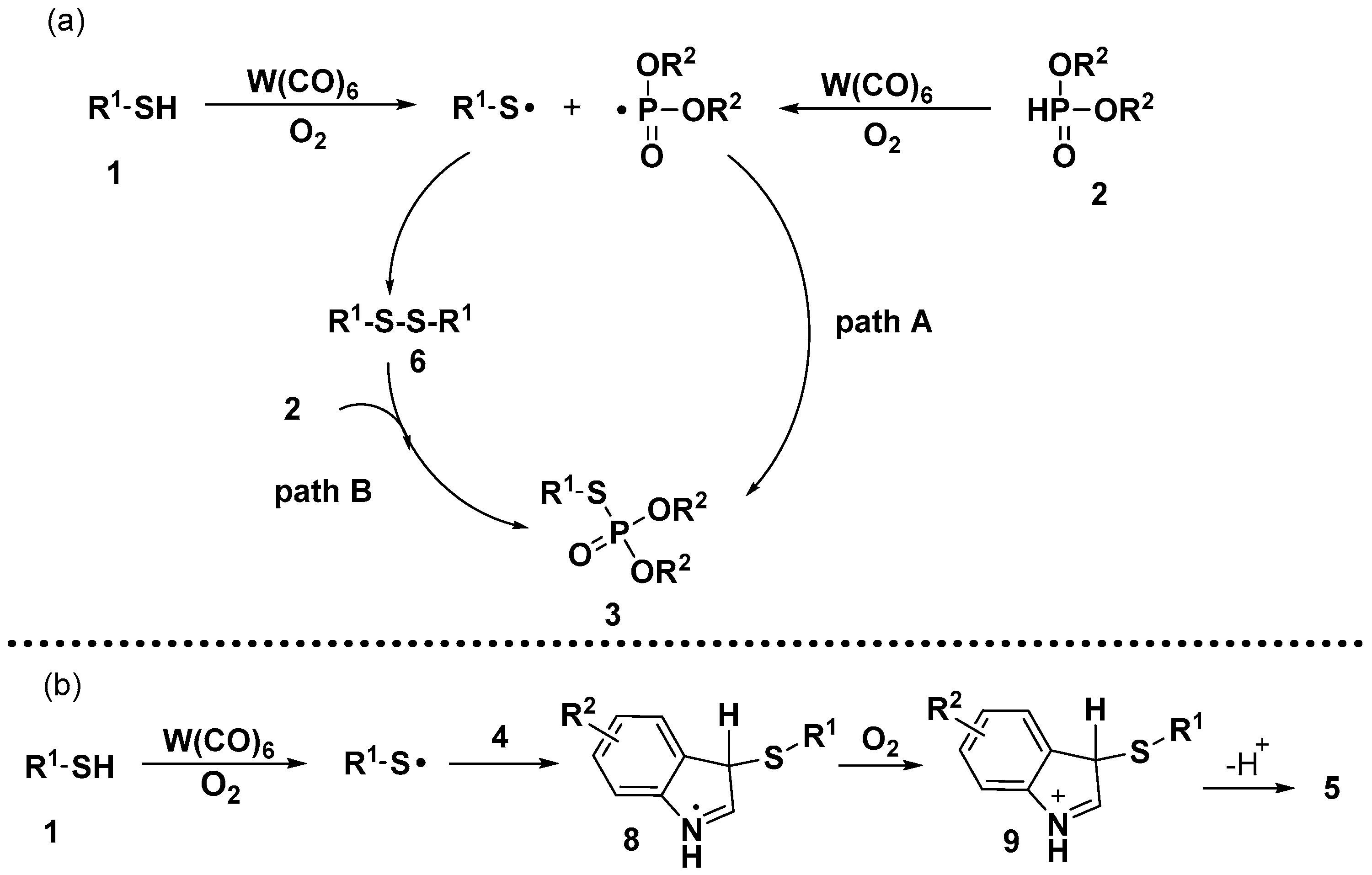 Molecules 28 08071 sch006