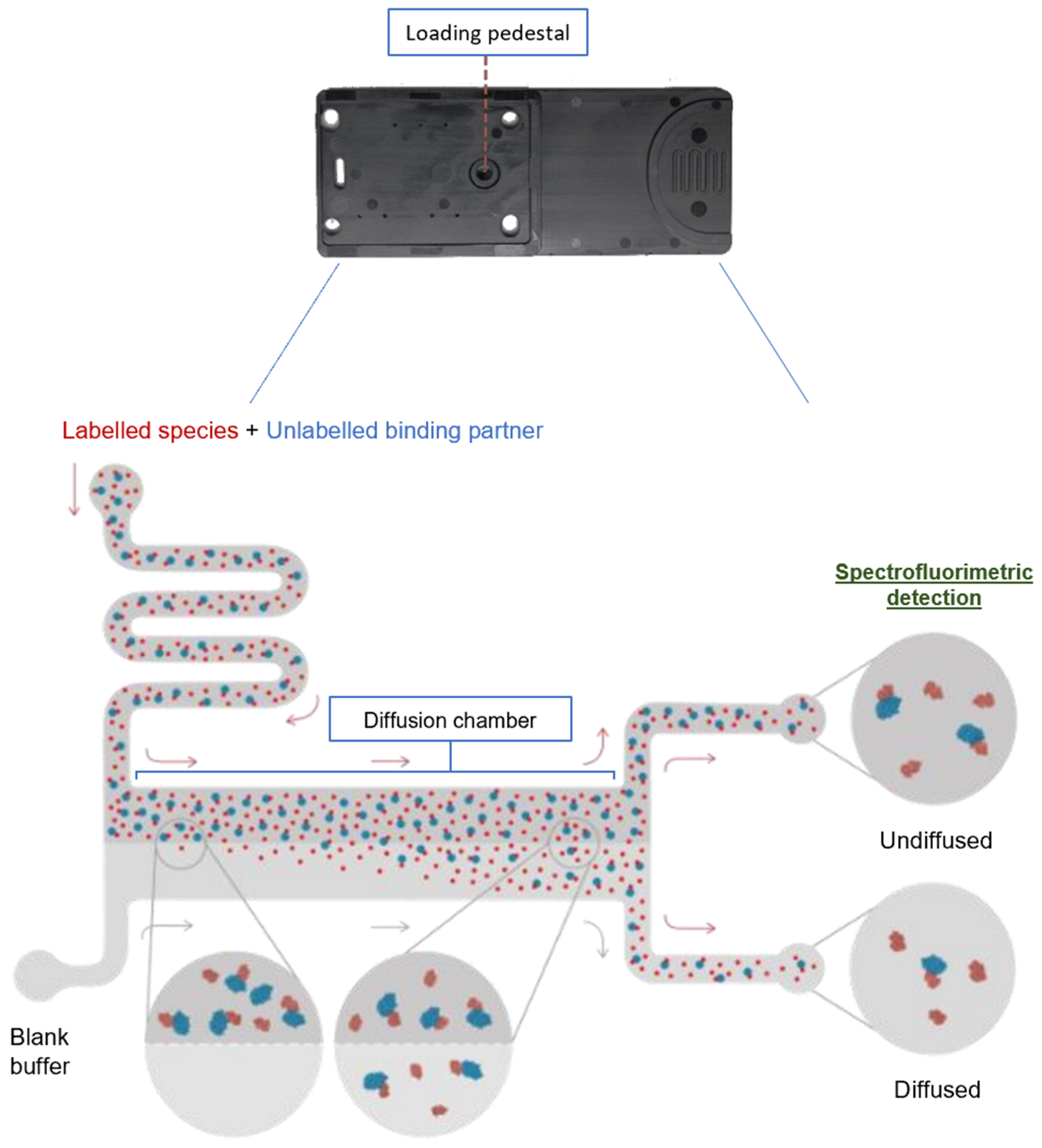 Molecules 28 08072 g005