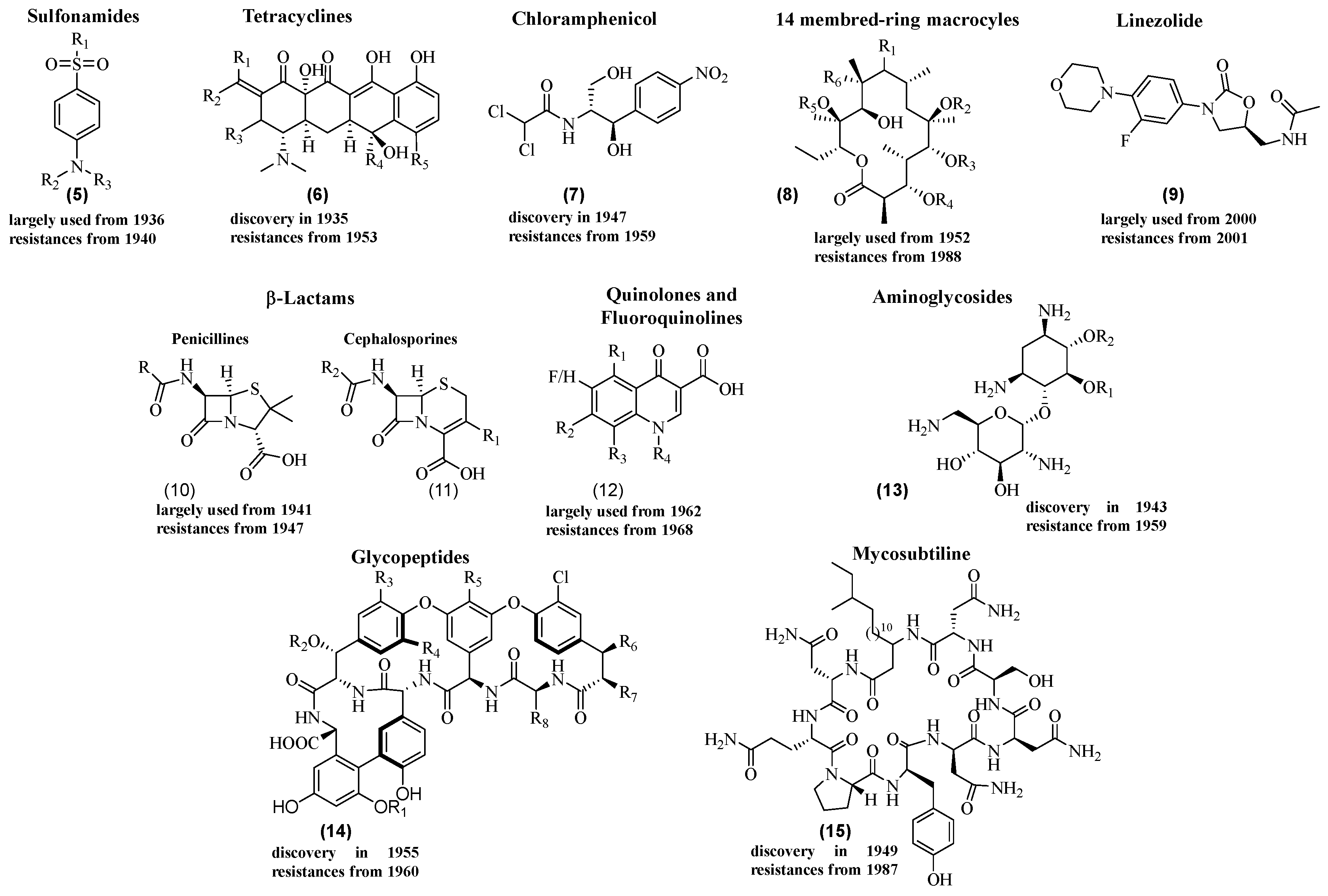 Molecules 28 08076 g002