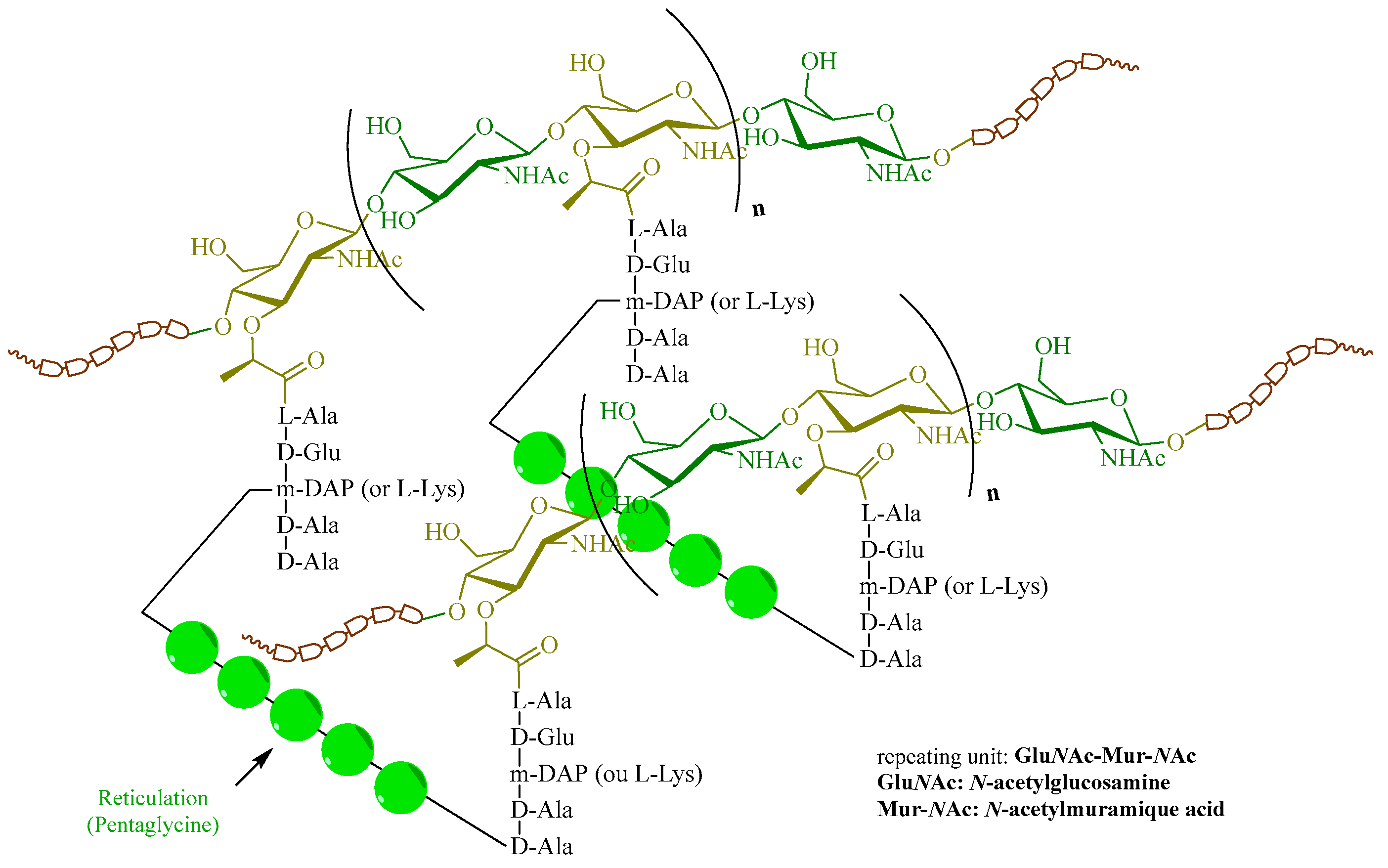 Molecules 28 08076 g004