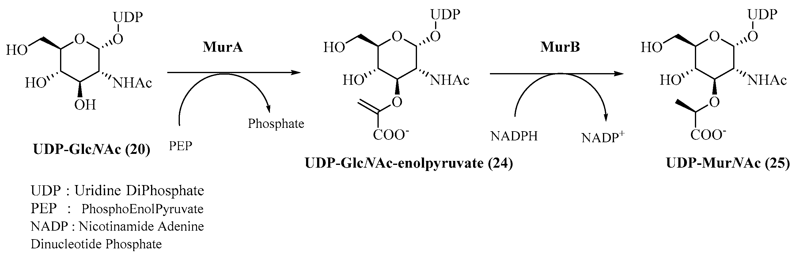 Molecules 28 08076 g005