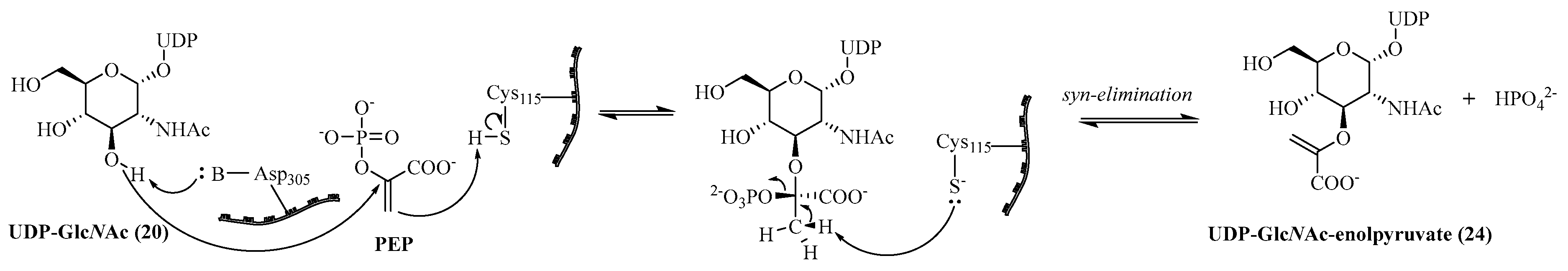 Molecules 28 08076 sch003