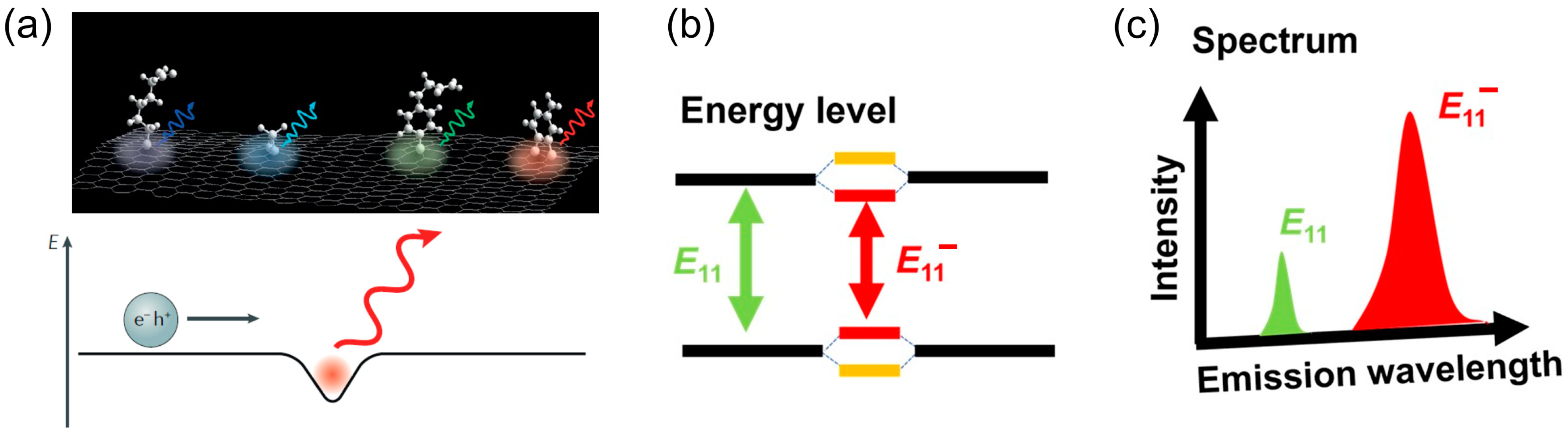 Molecules 28 08104 g001