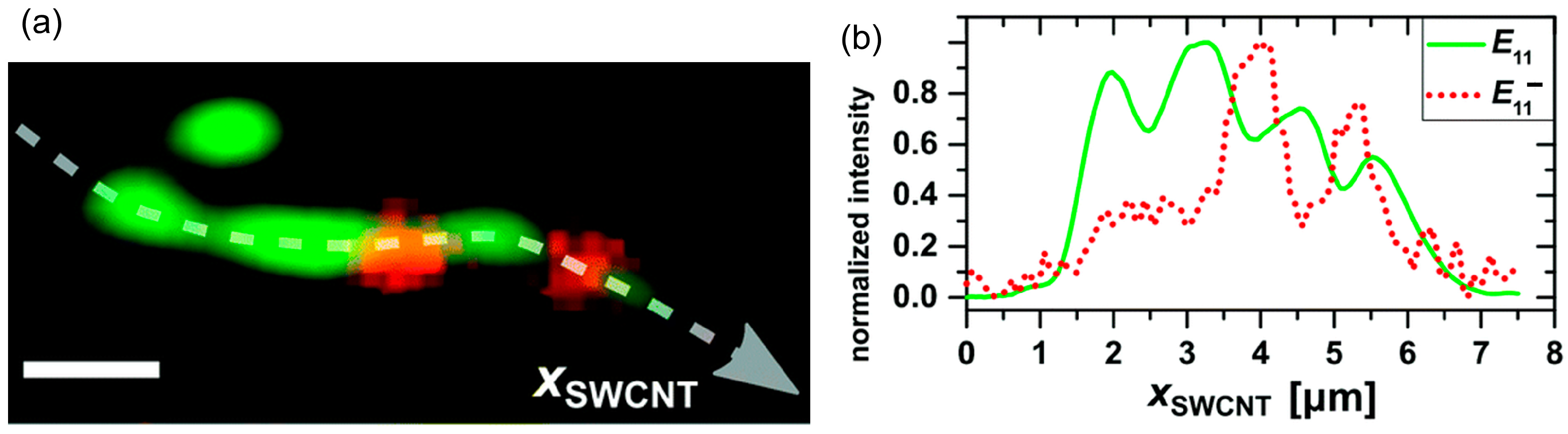 Molecules 28 08104 g003