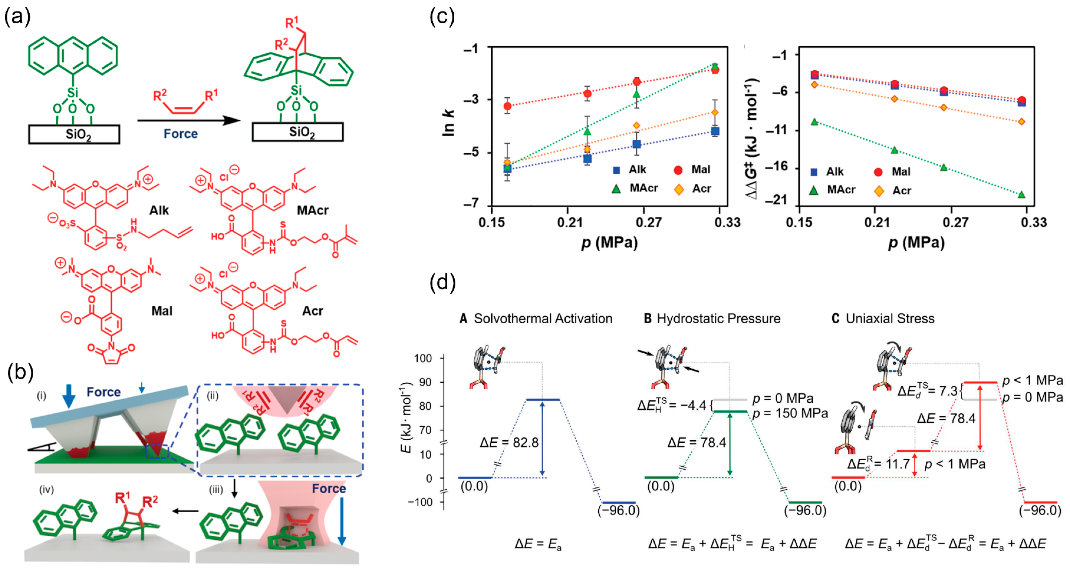Molecules 28 08104 g006