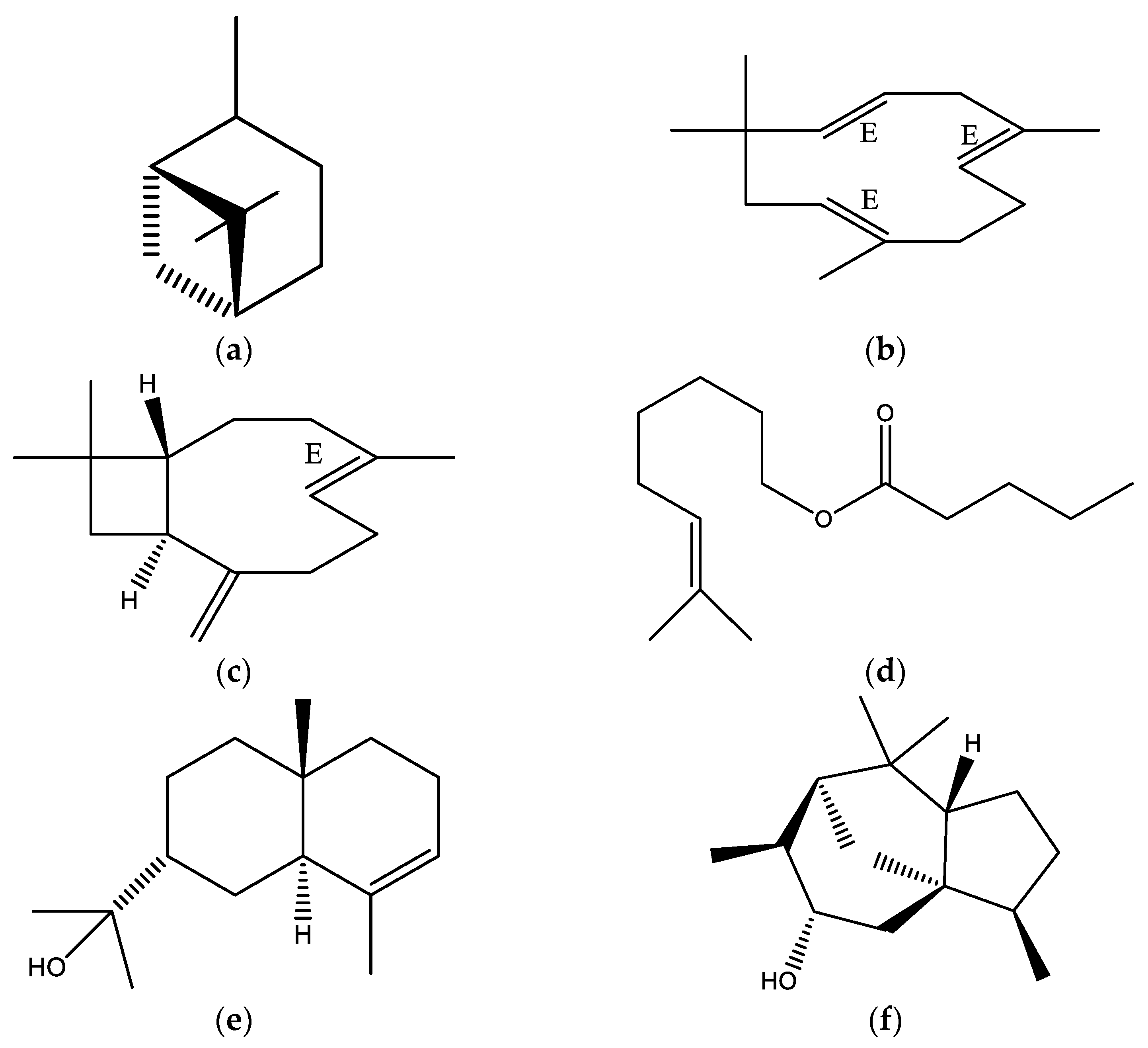 Molecules 28 08112 g002