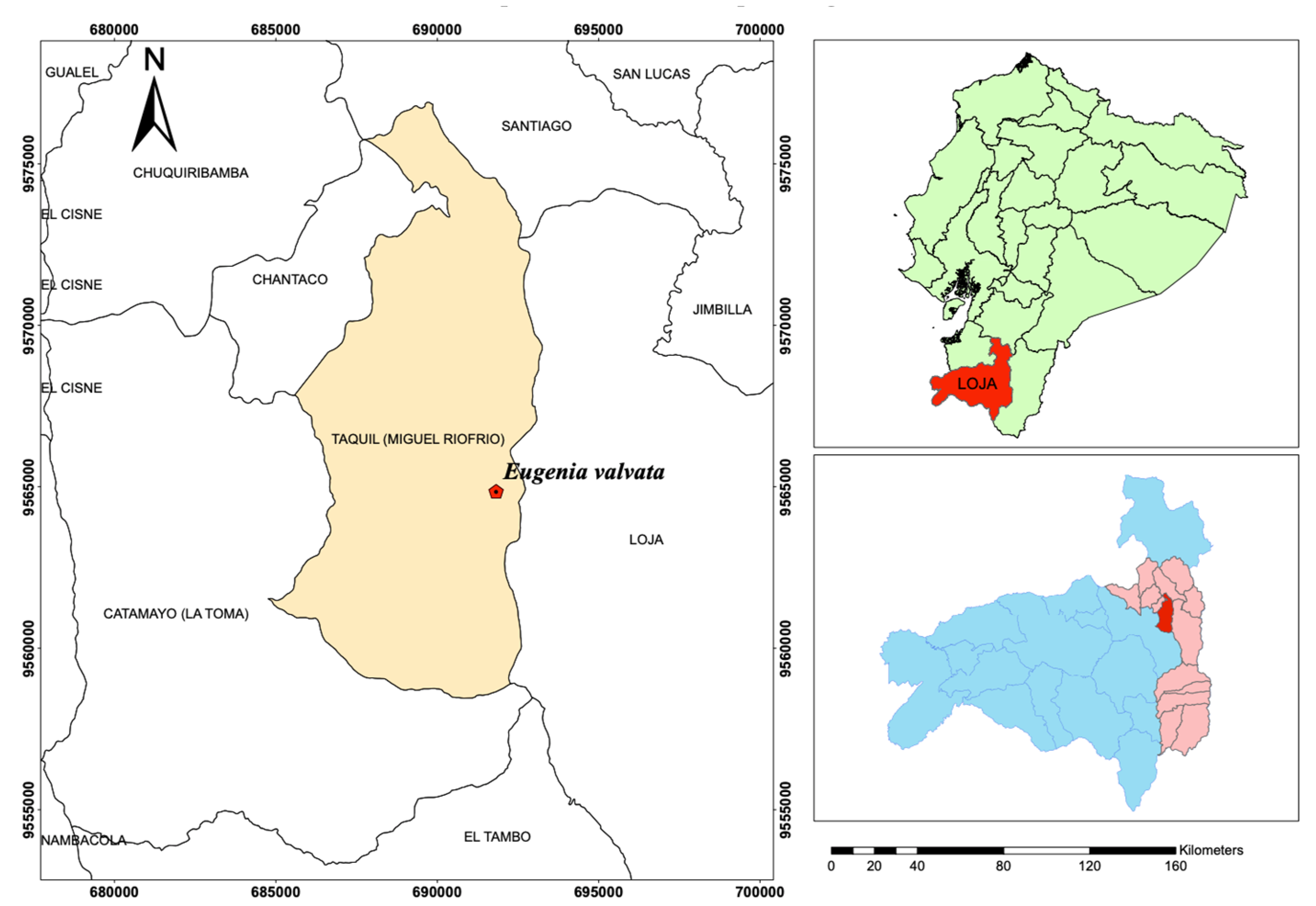 Molecules 28 08112 g004