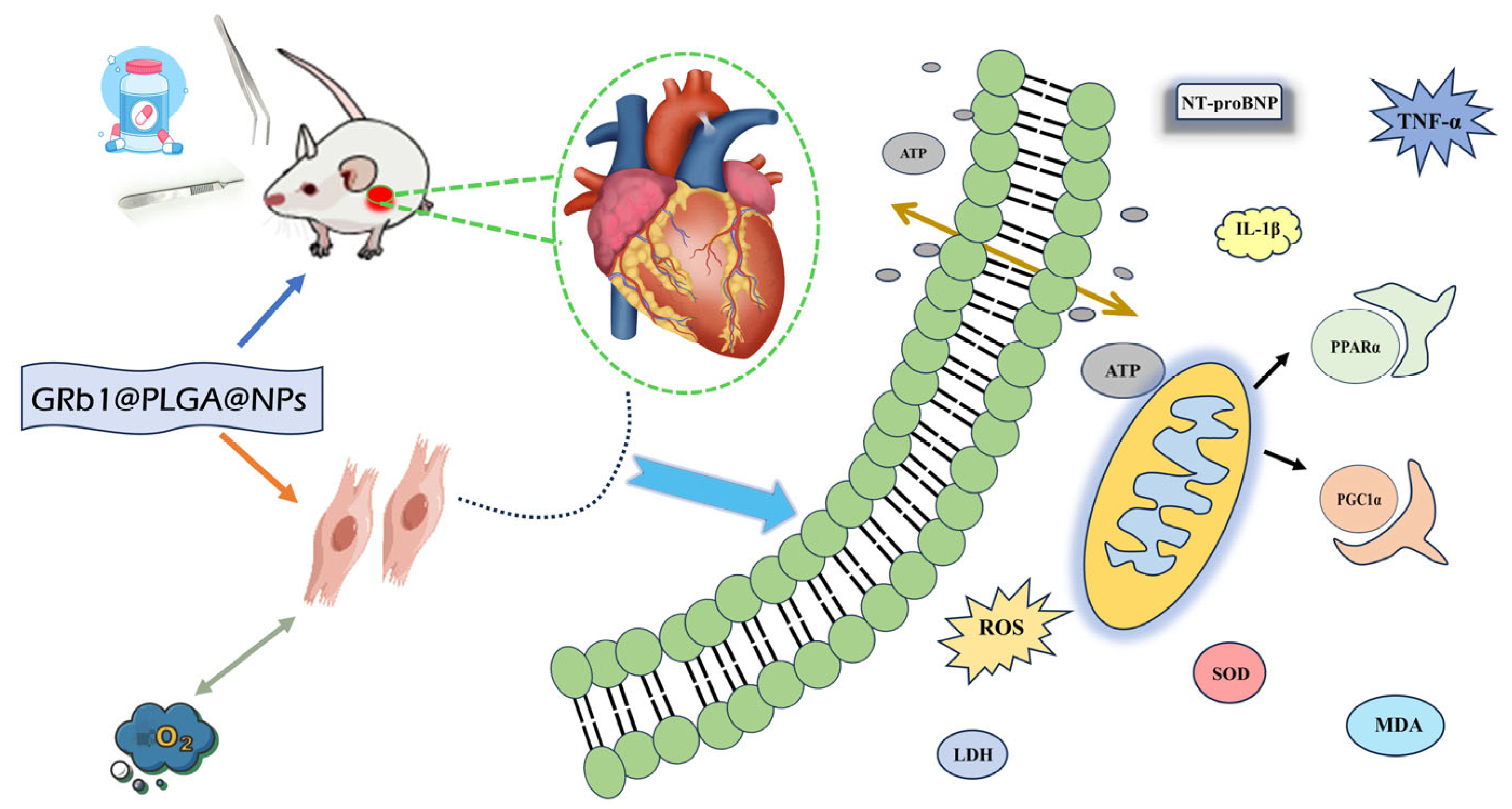 Molecules 28 08118 g001