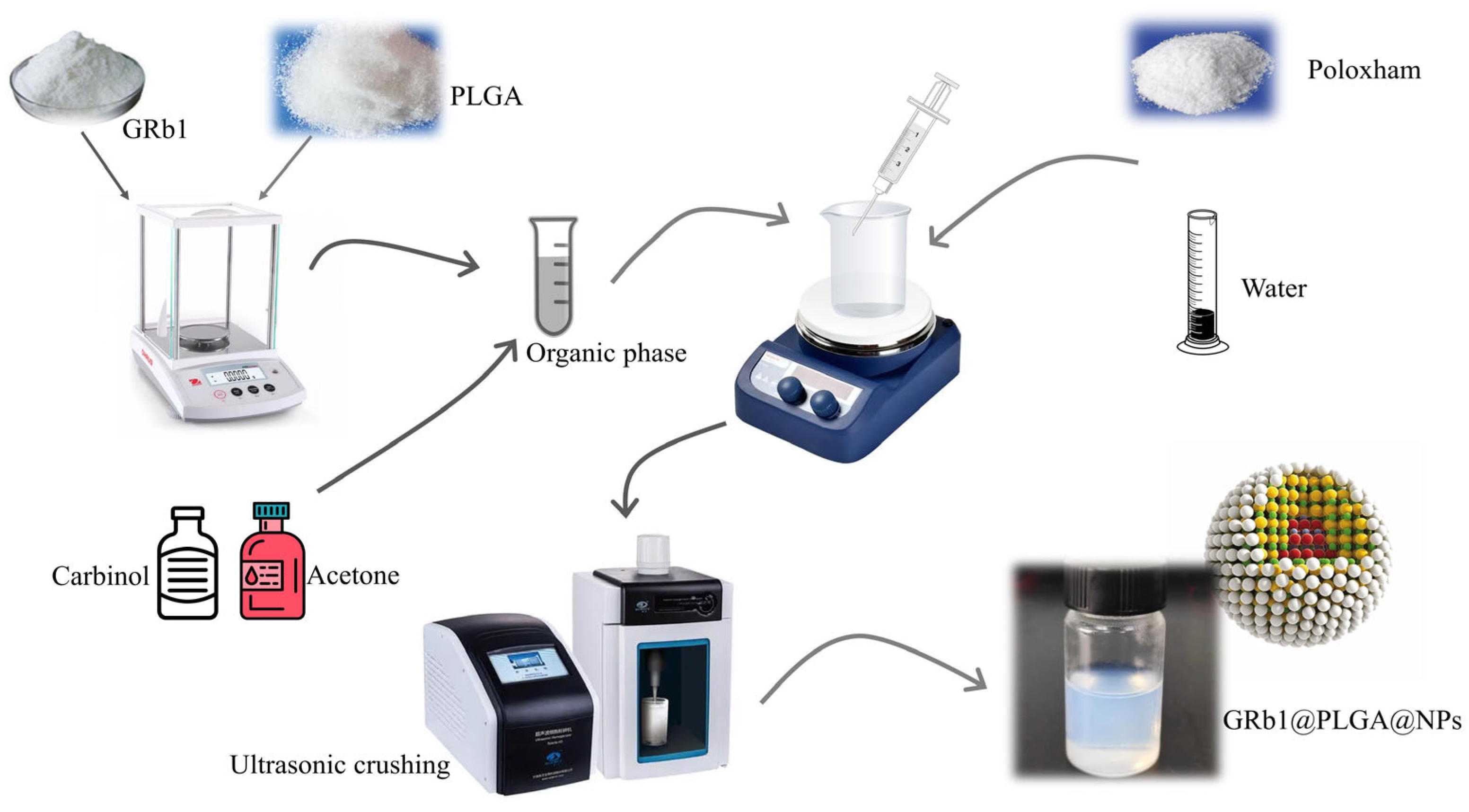 Molecules 28 08118 g002