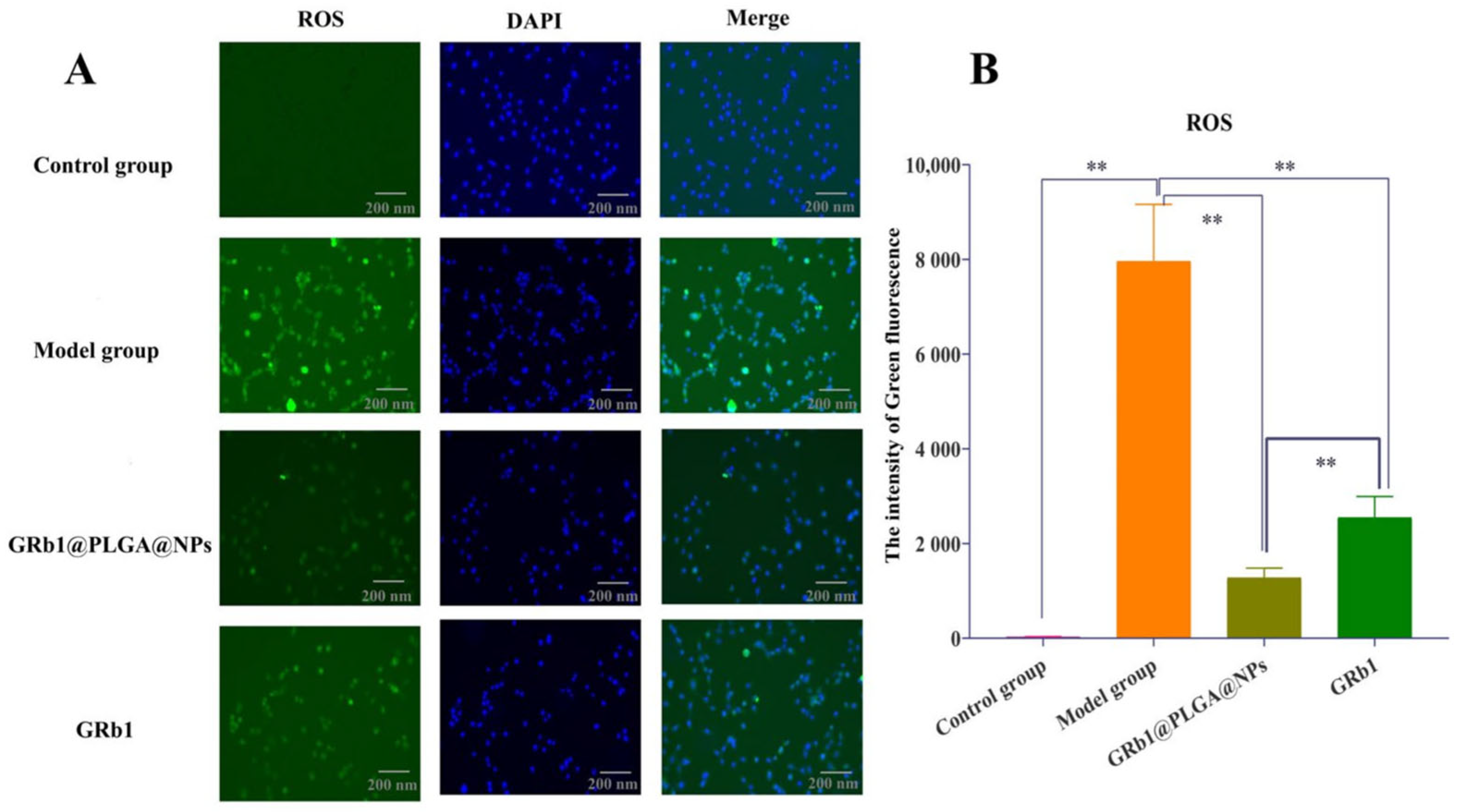Molecules 28 08118 g004