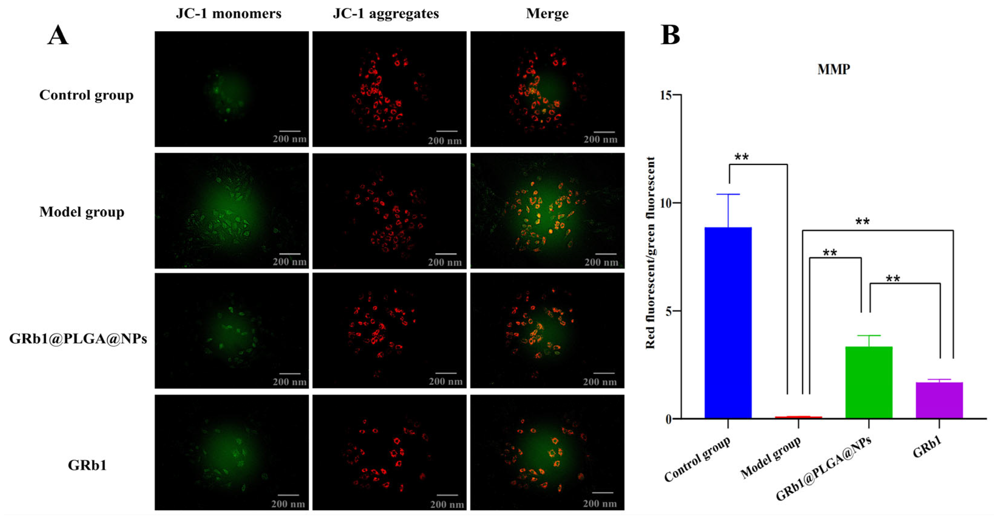 Molecules 28 08118 g005