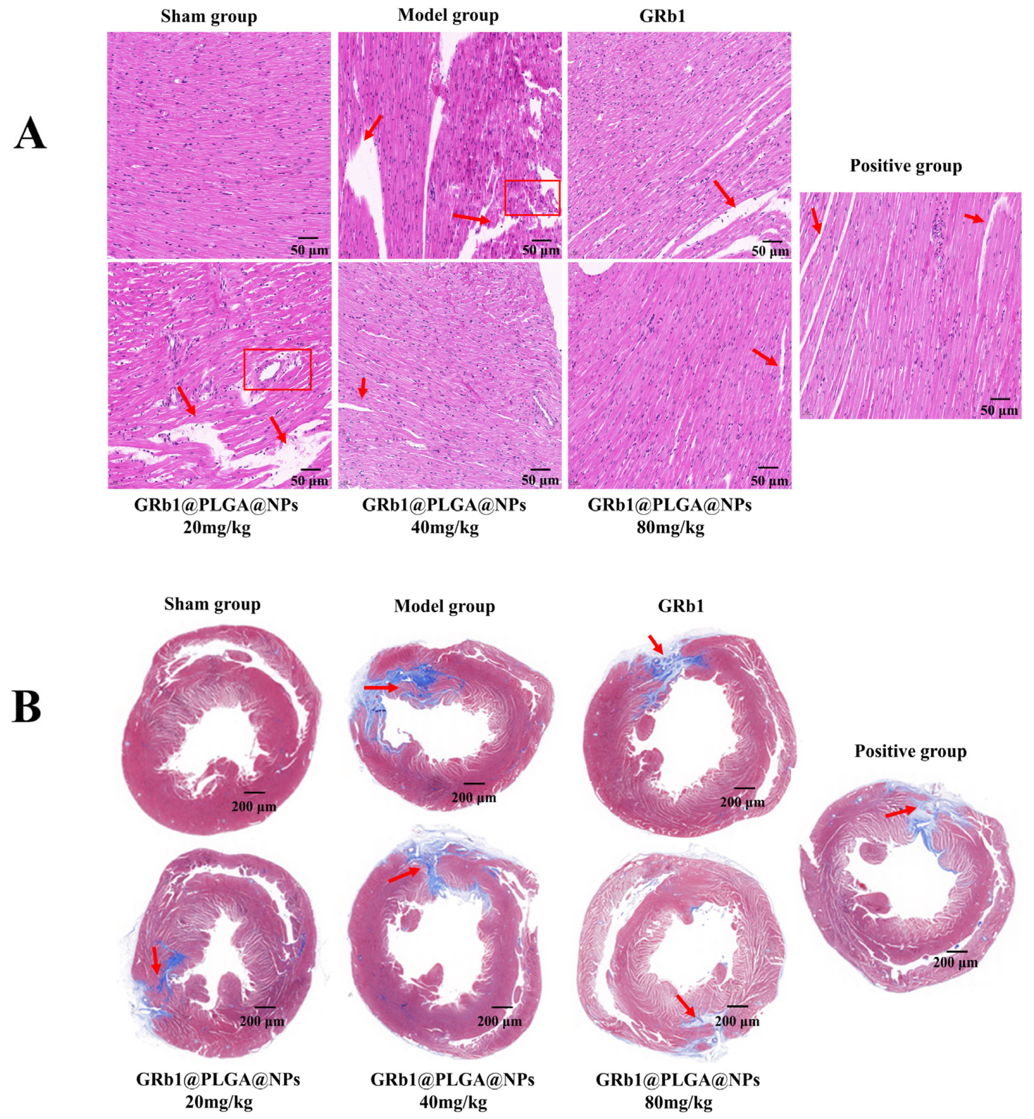 Molecules 28 08118 g007