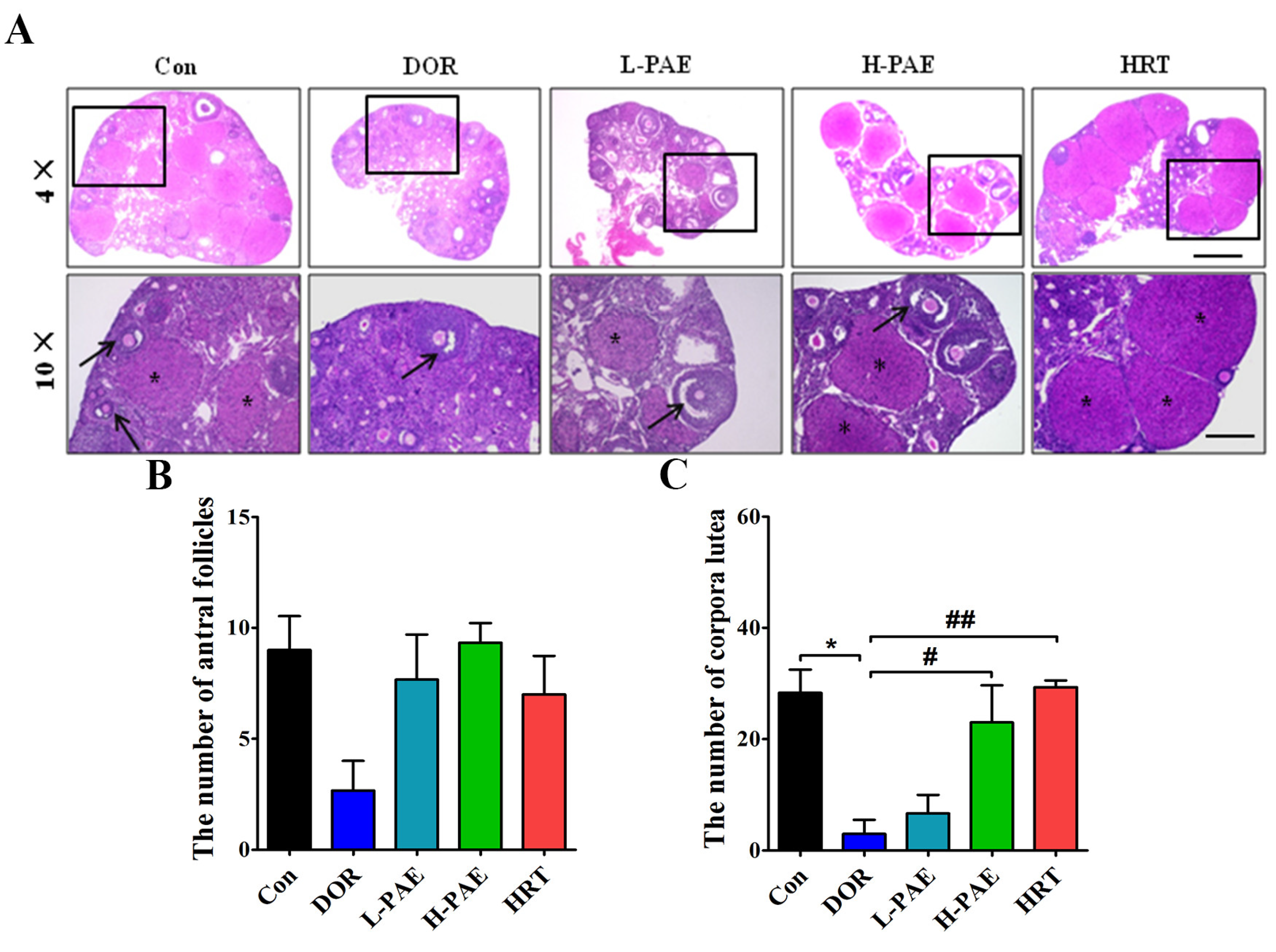 Molecules 28 08123 g002