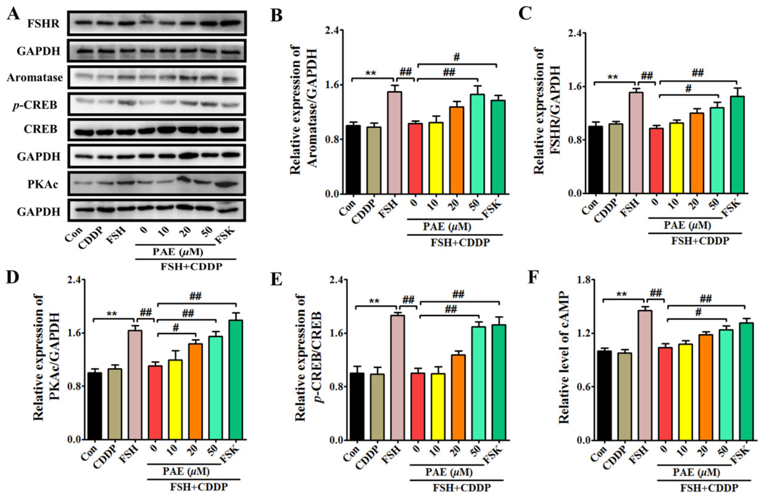 Molecules 28 08123 g006
