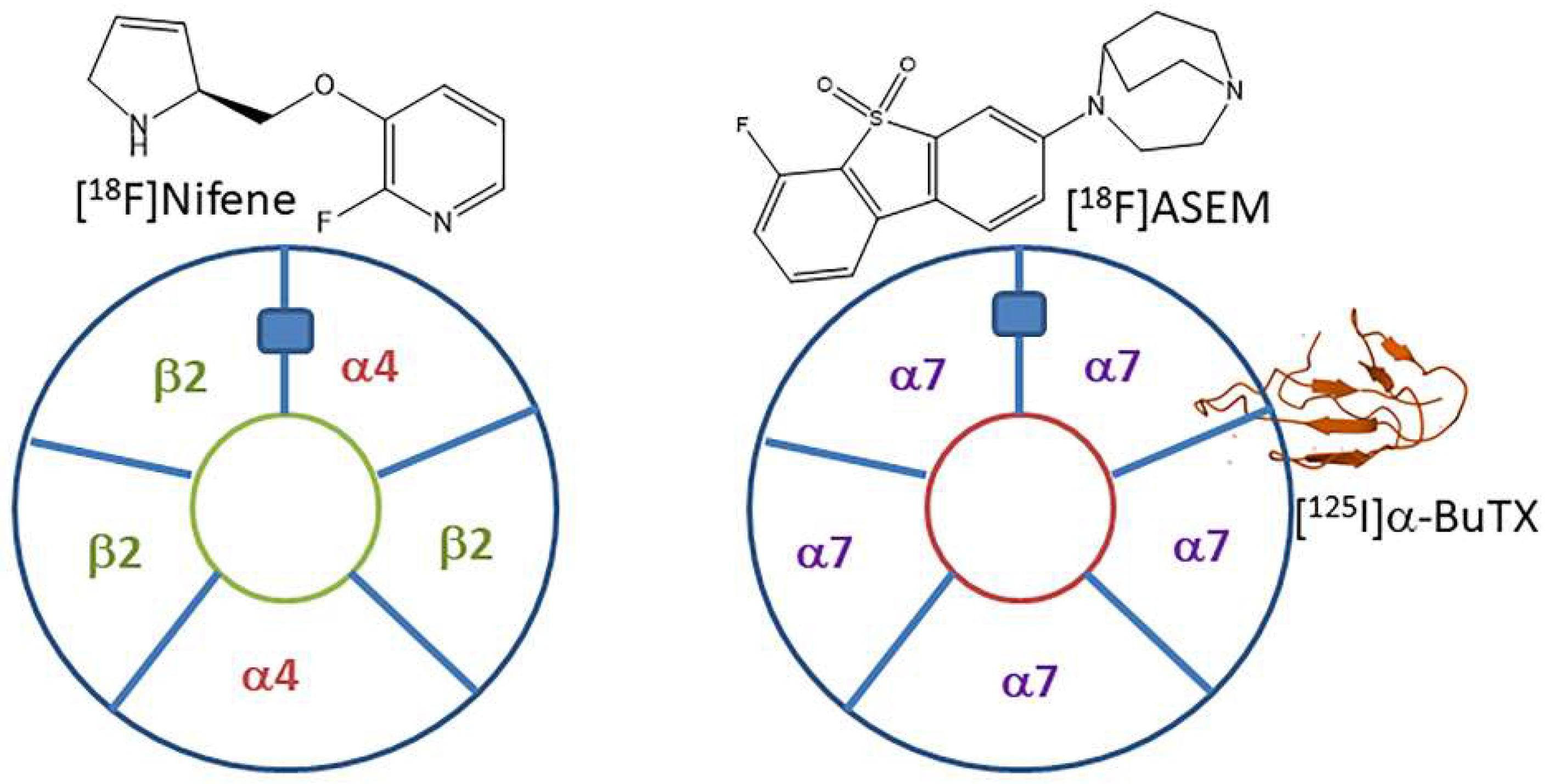 Molecules 28 08128 g001