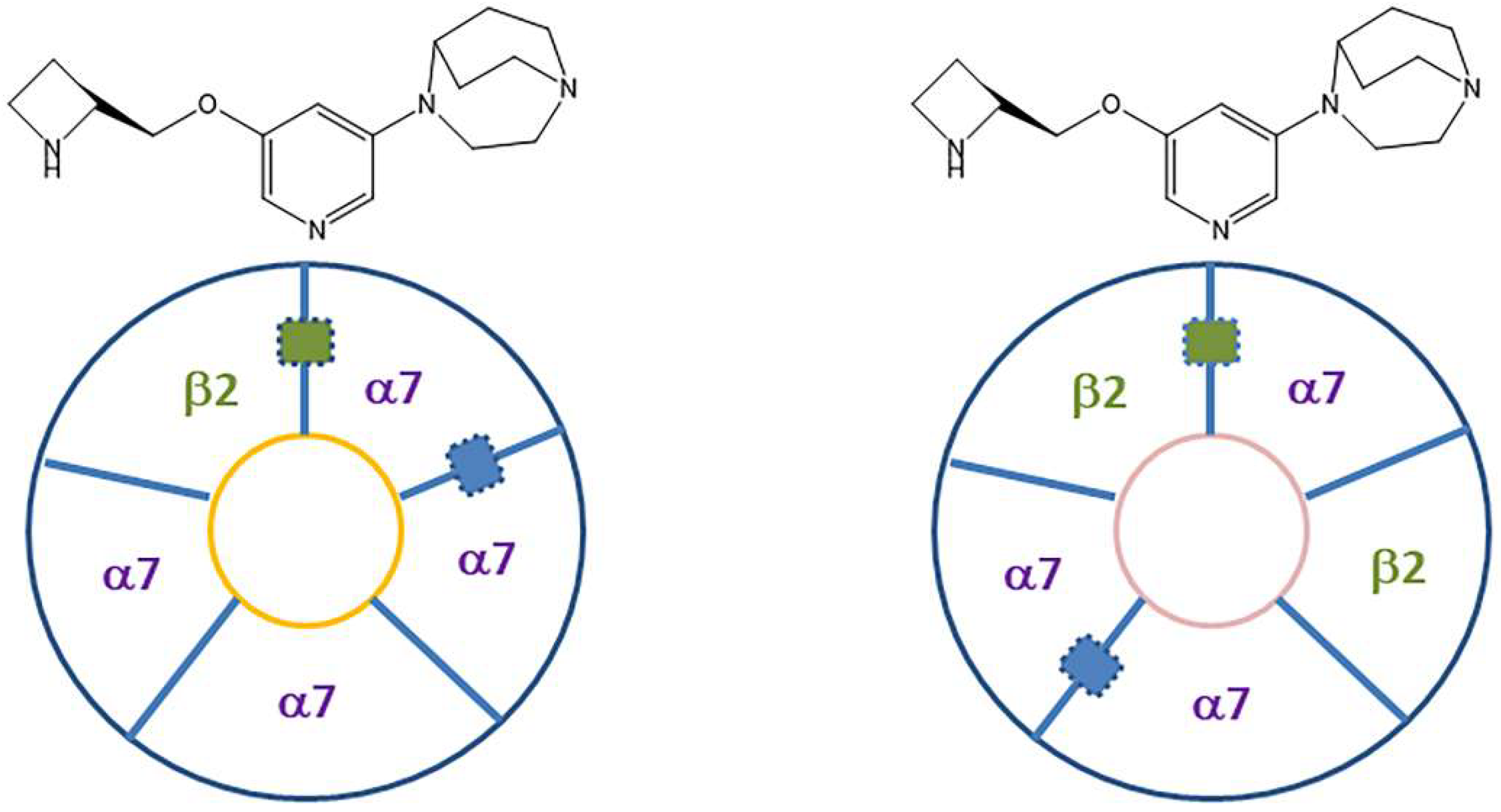 Molecules 28 08128 g002