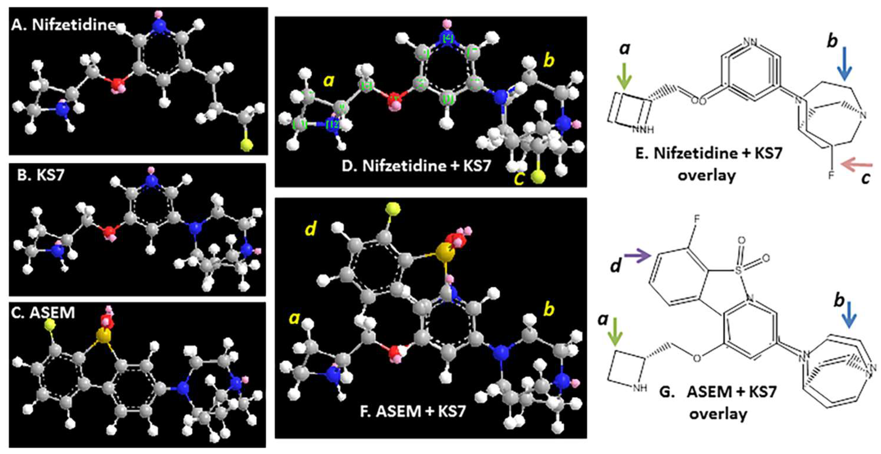 Molecules 28 08128 g008