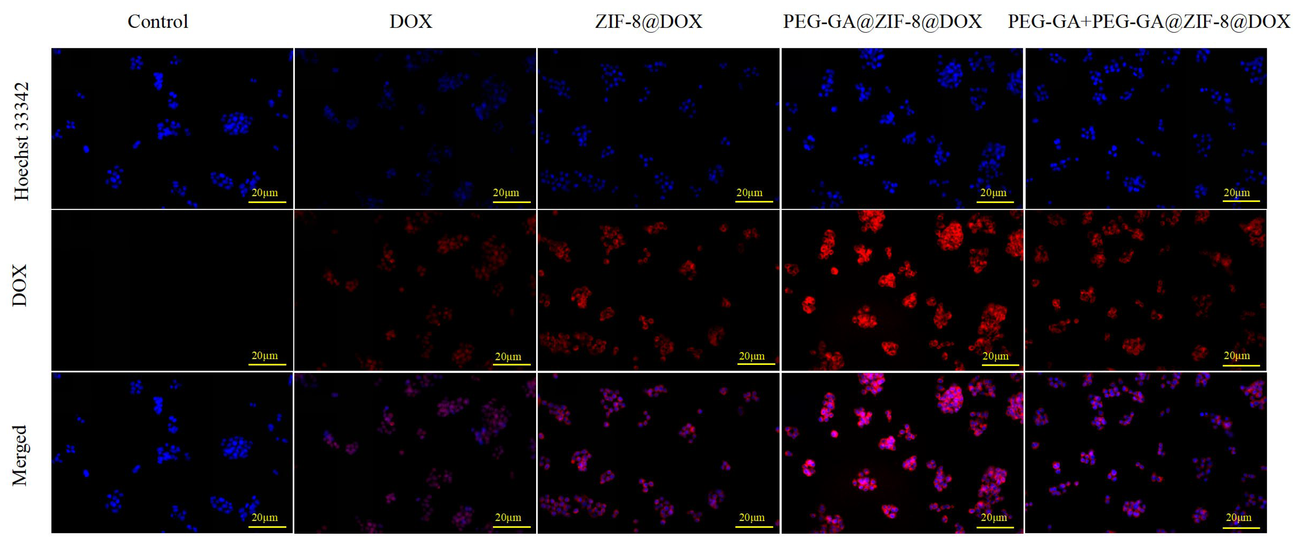 Molecules 28 08131 g005