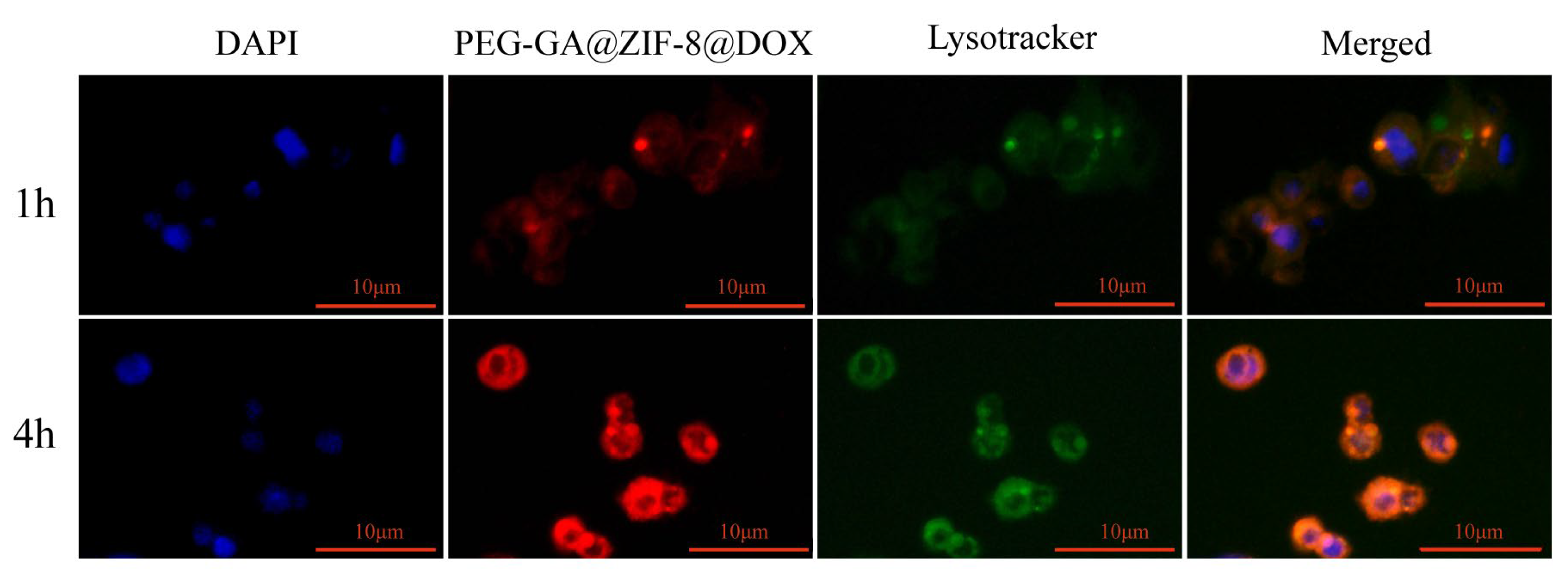Molecules 28 08131 g006