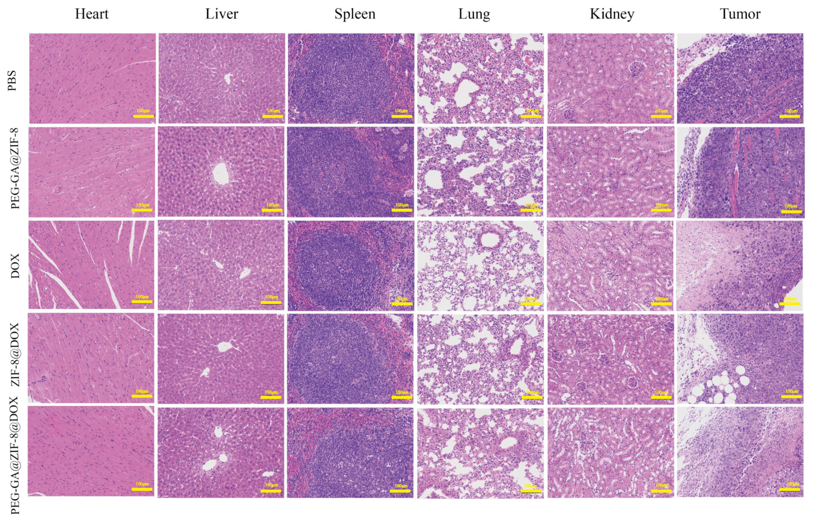 Molecules 28 08131 g009