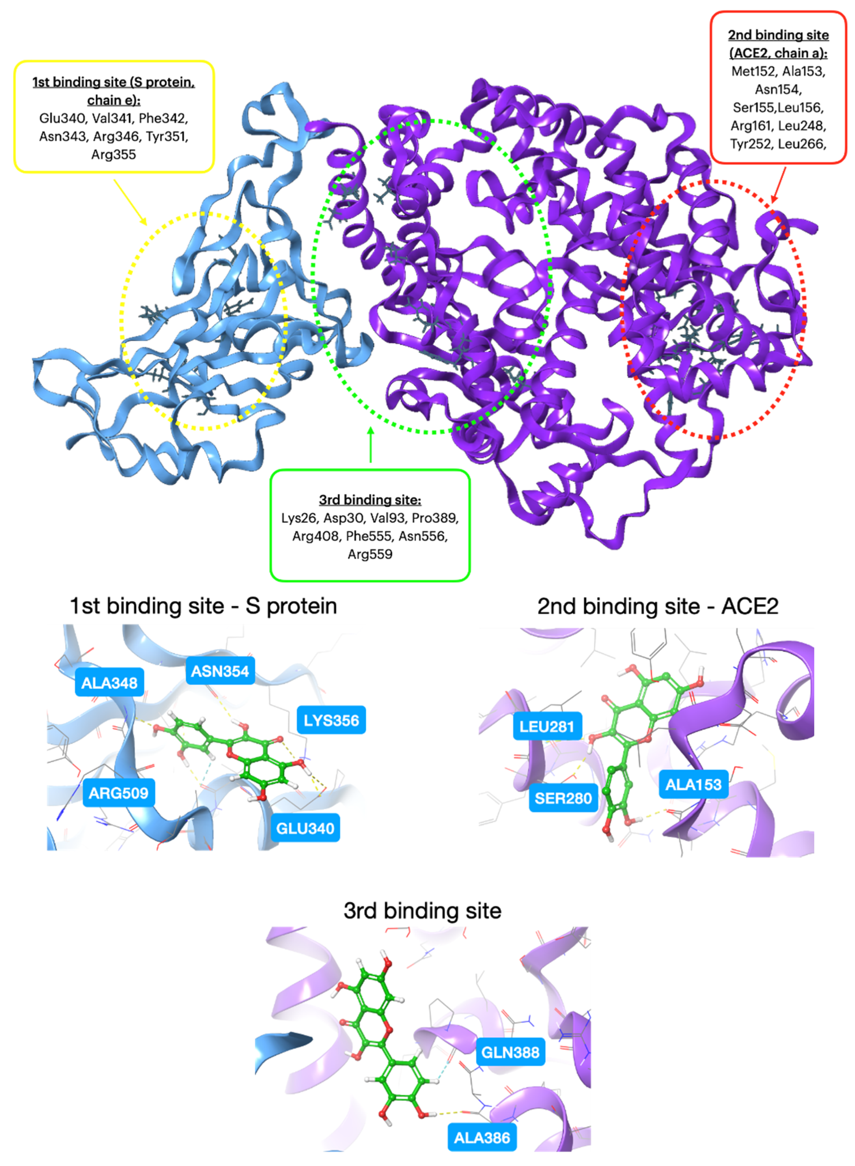 Molecules 28 08141 sch002 Molecules 28 08141 sch002