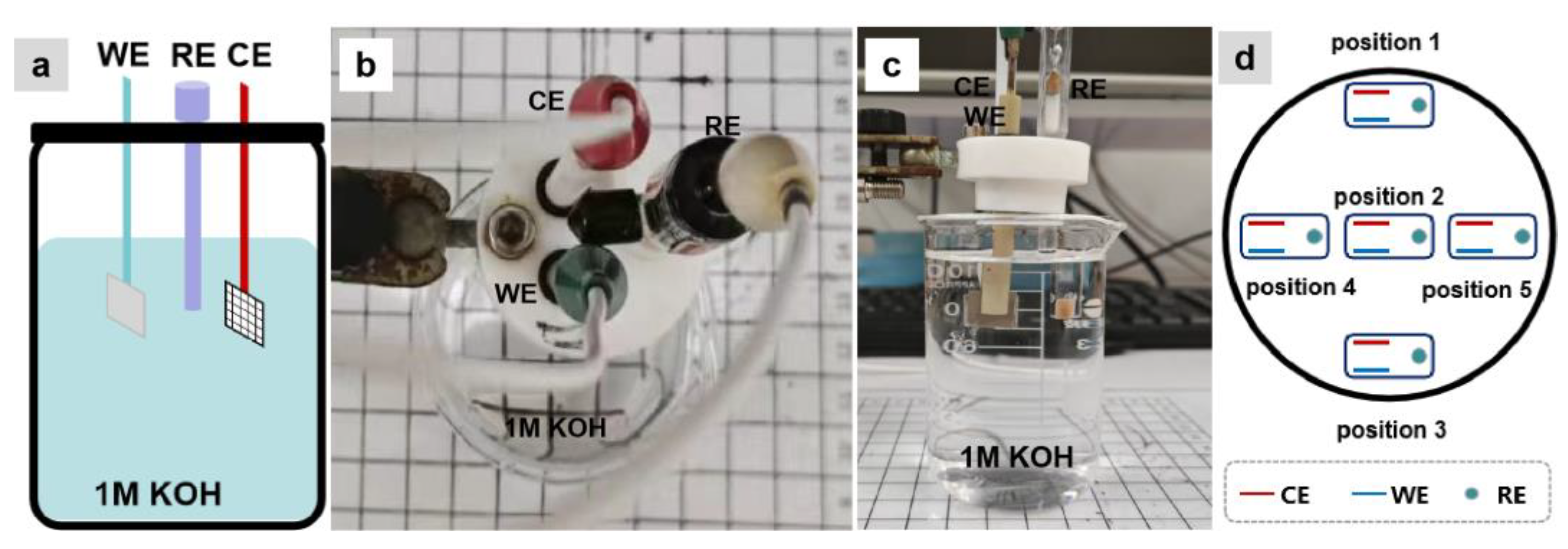 Molecules 28 08143 g001