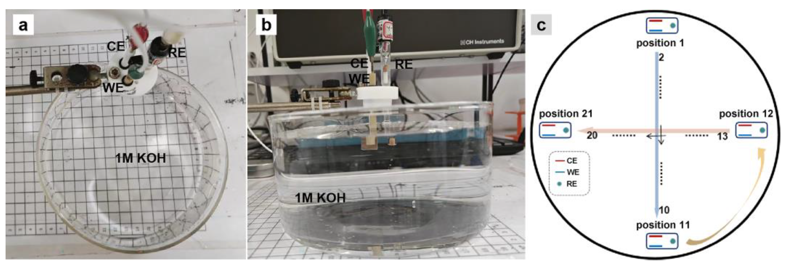 Molecules 28 08143 g003