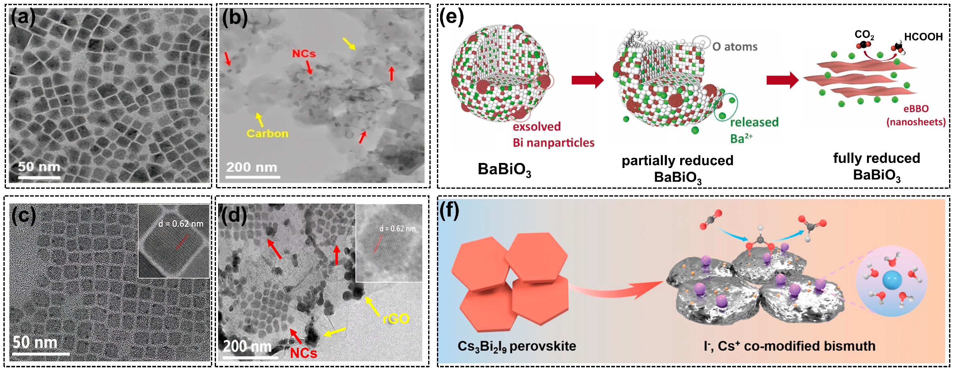 Molecules 28 08154 g005
