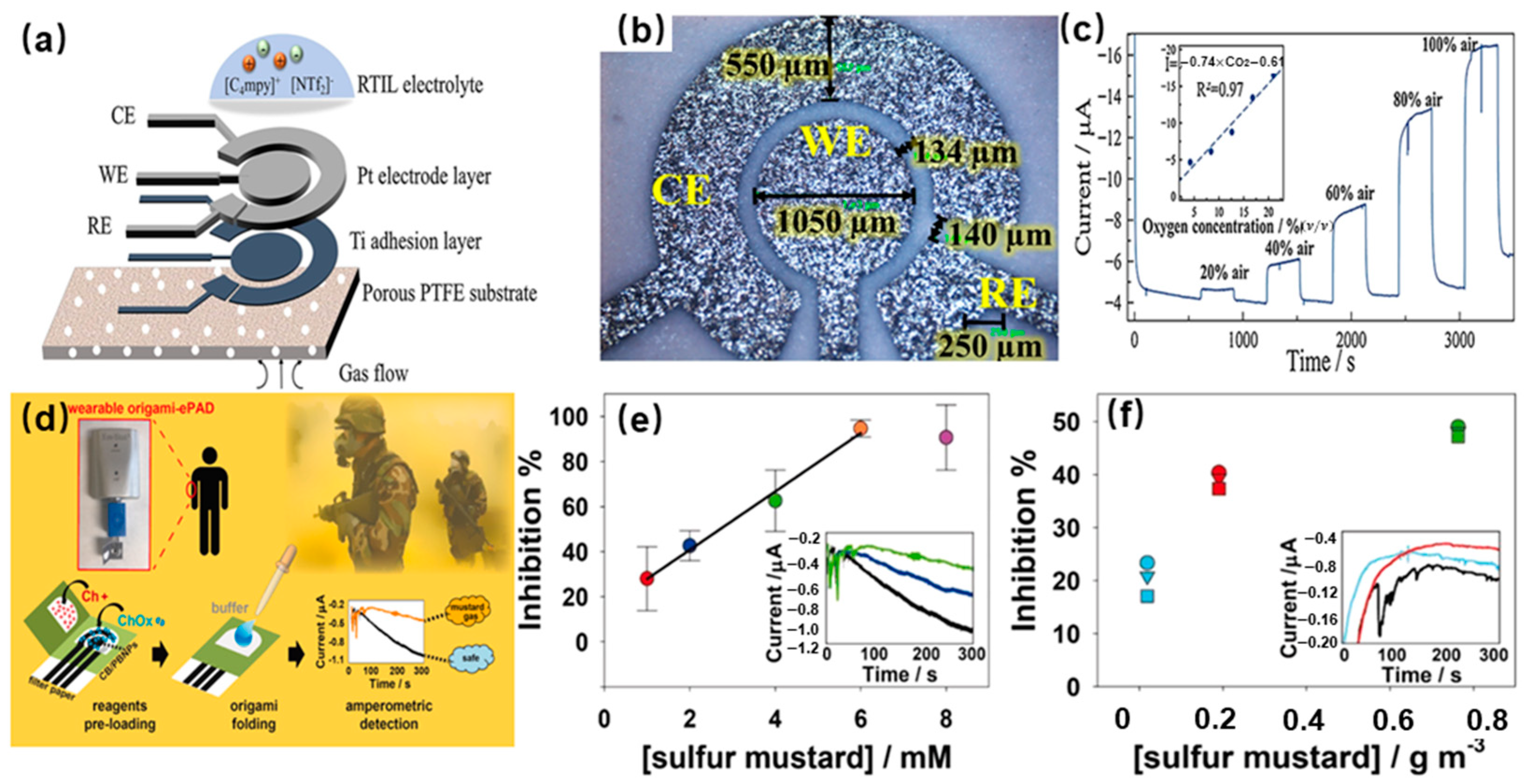 Molecules 29 00005 g002