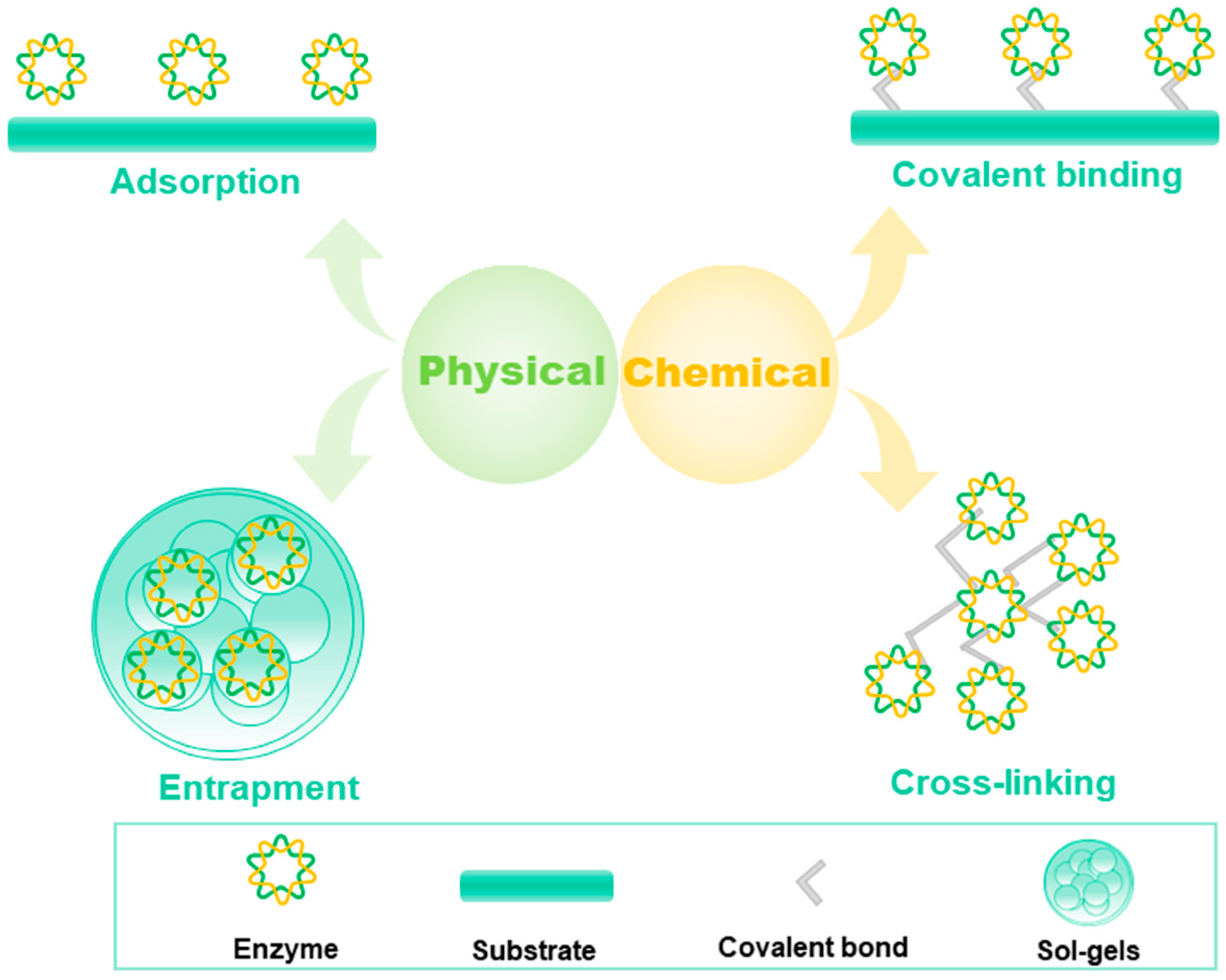 Molecules 29 00005 g004