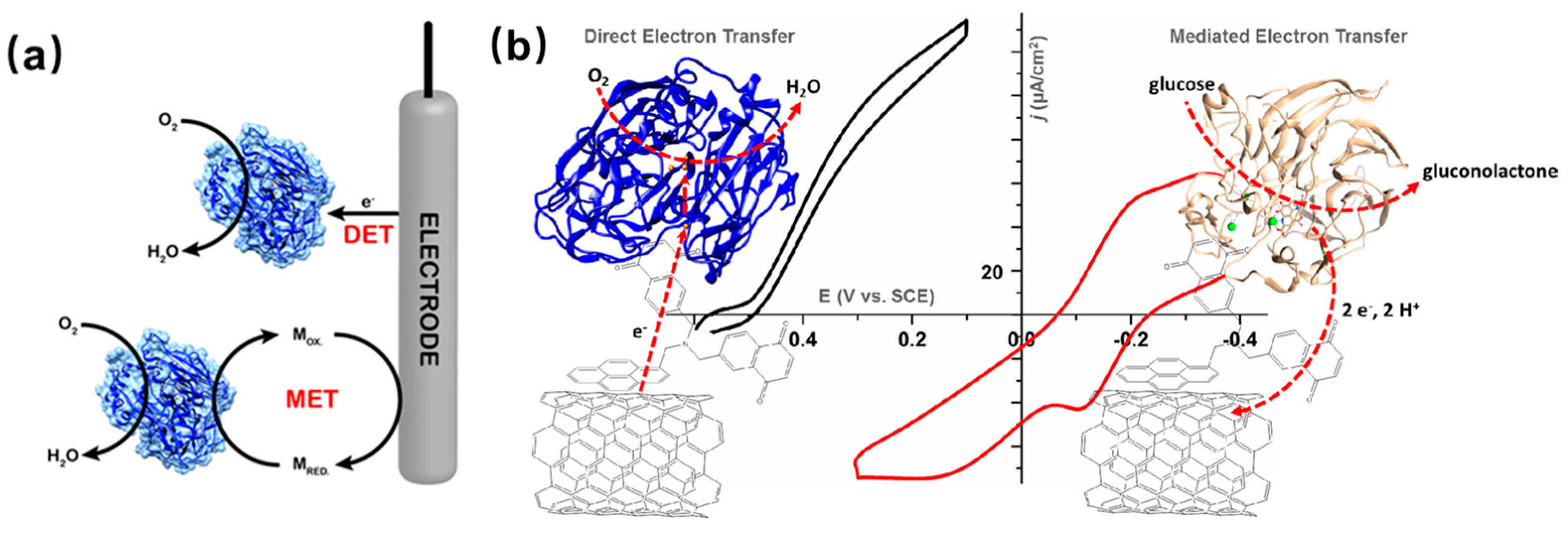 Molecules 29 00005 g007