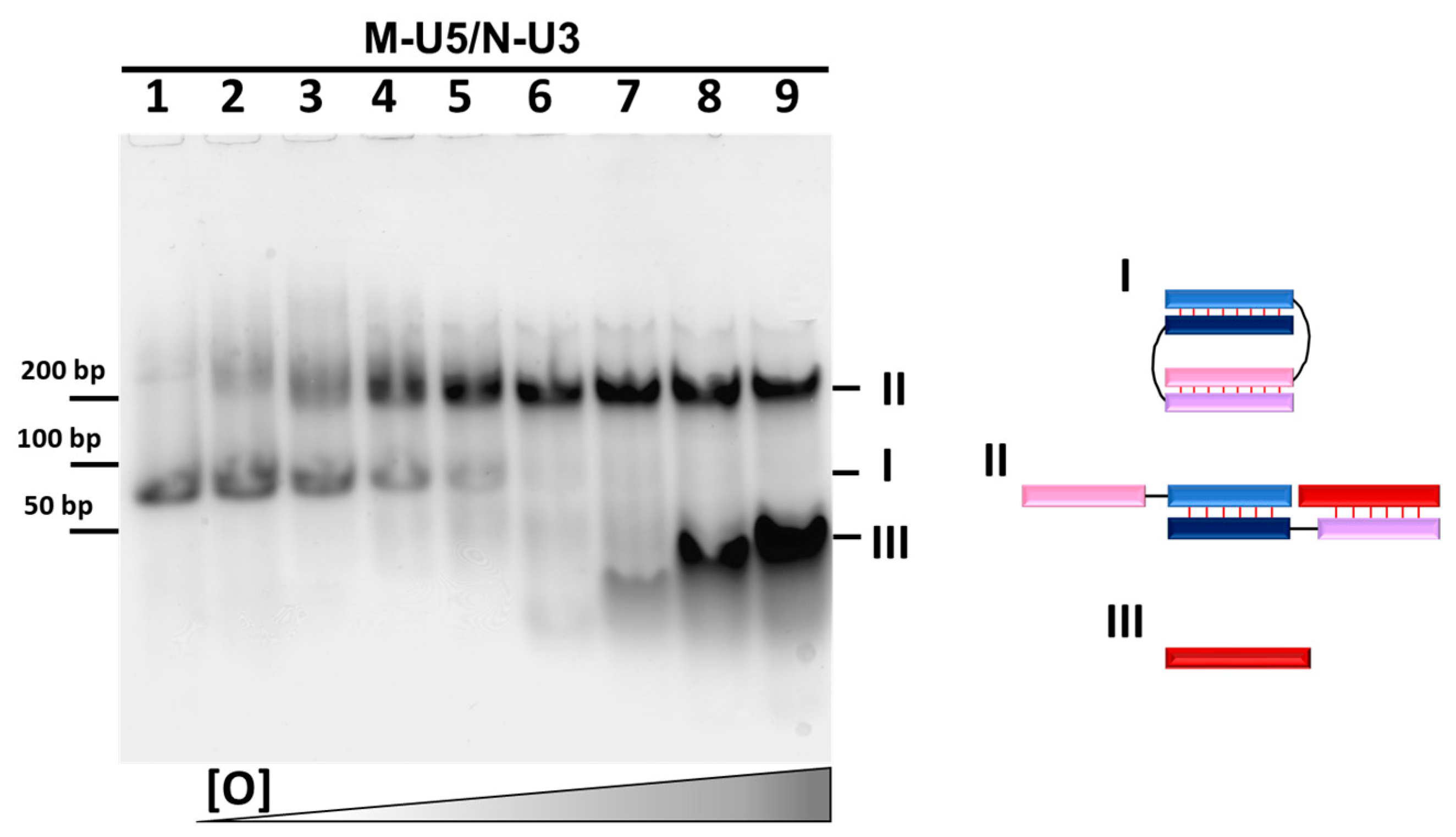 Molecules 29 00010 g003