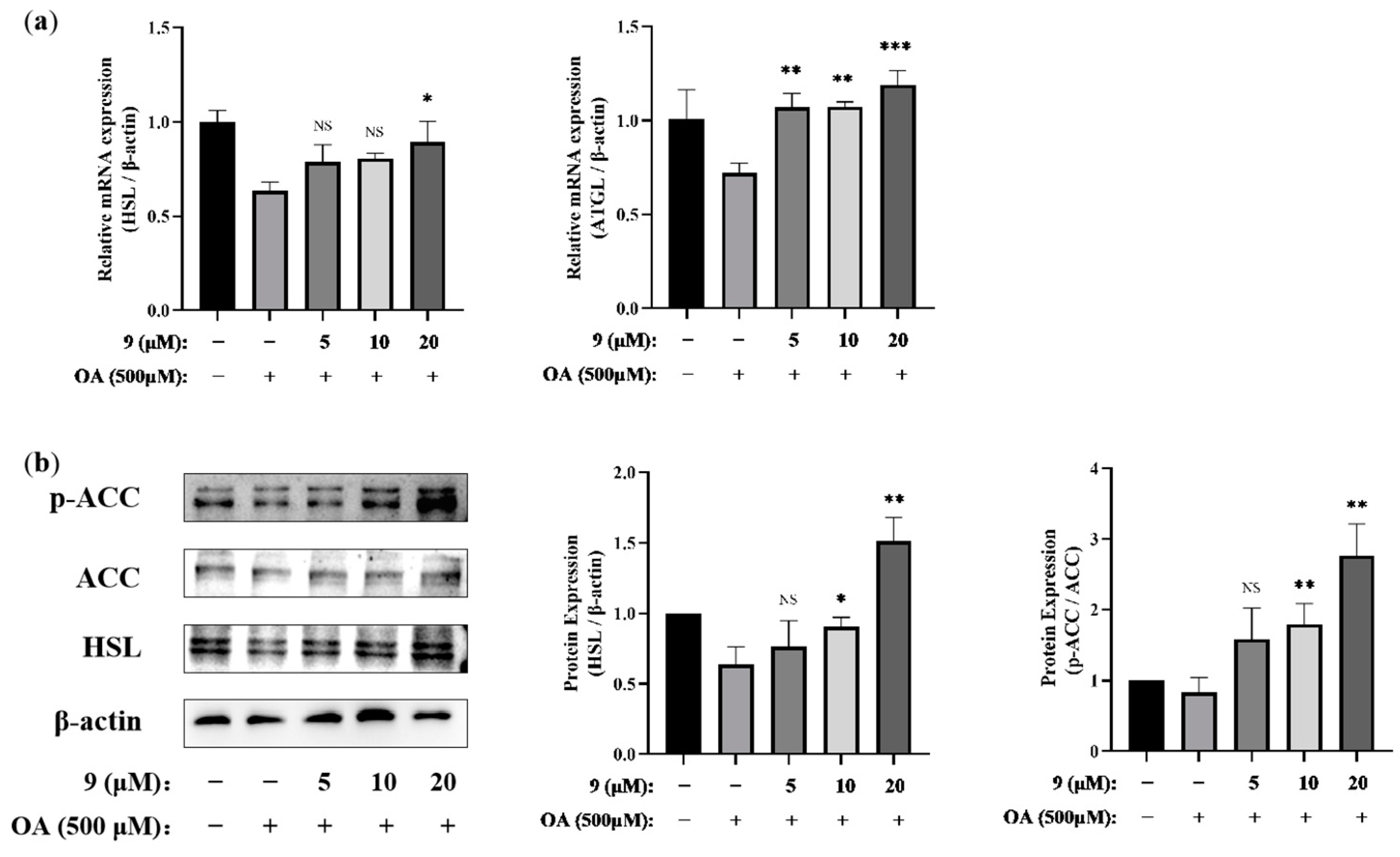 Molecules 29 00012 g007