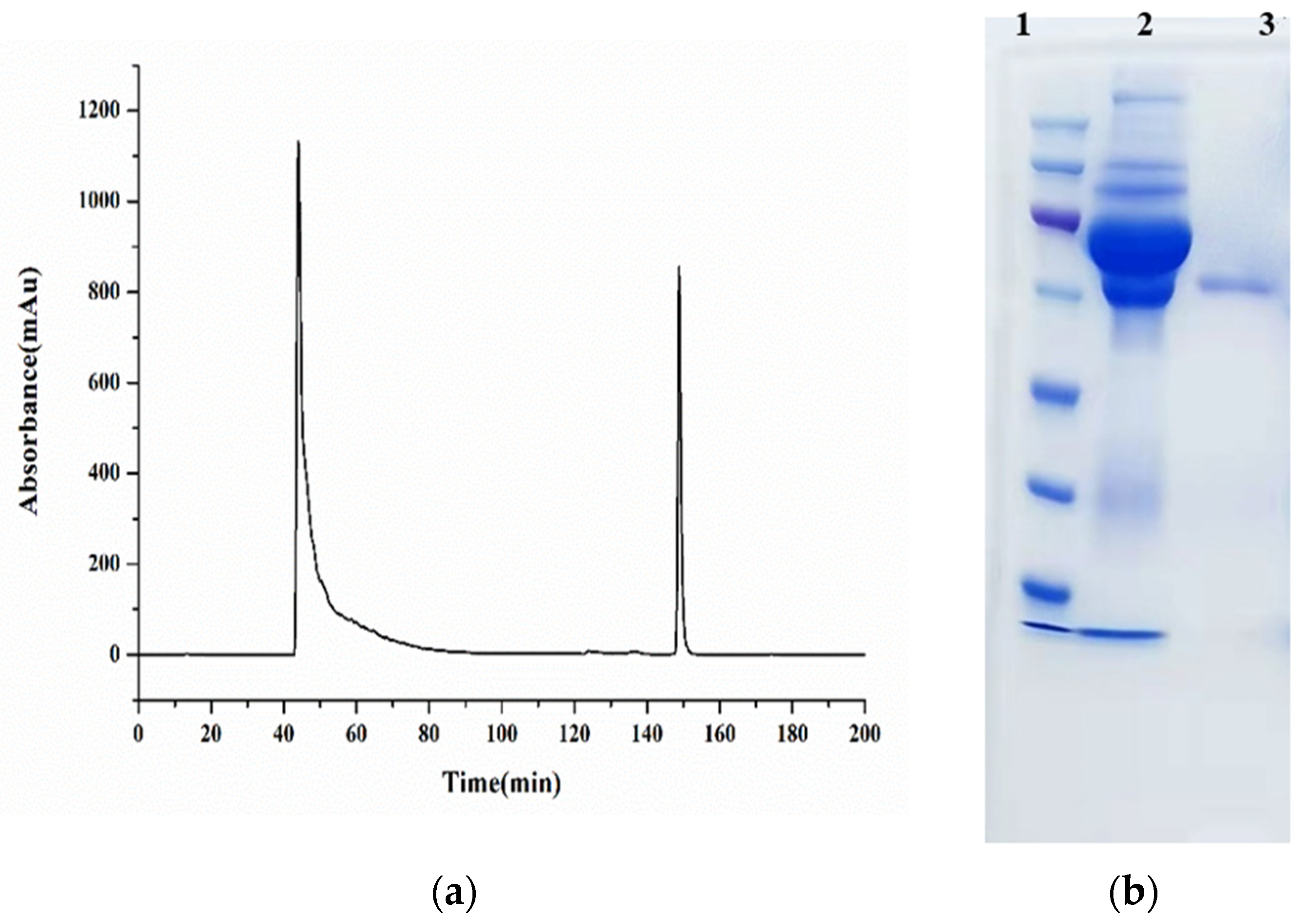 Molecules 29 00013 g001