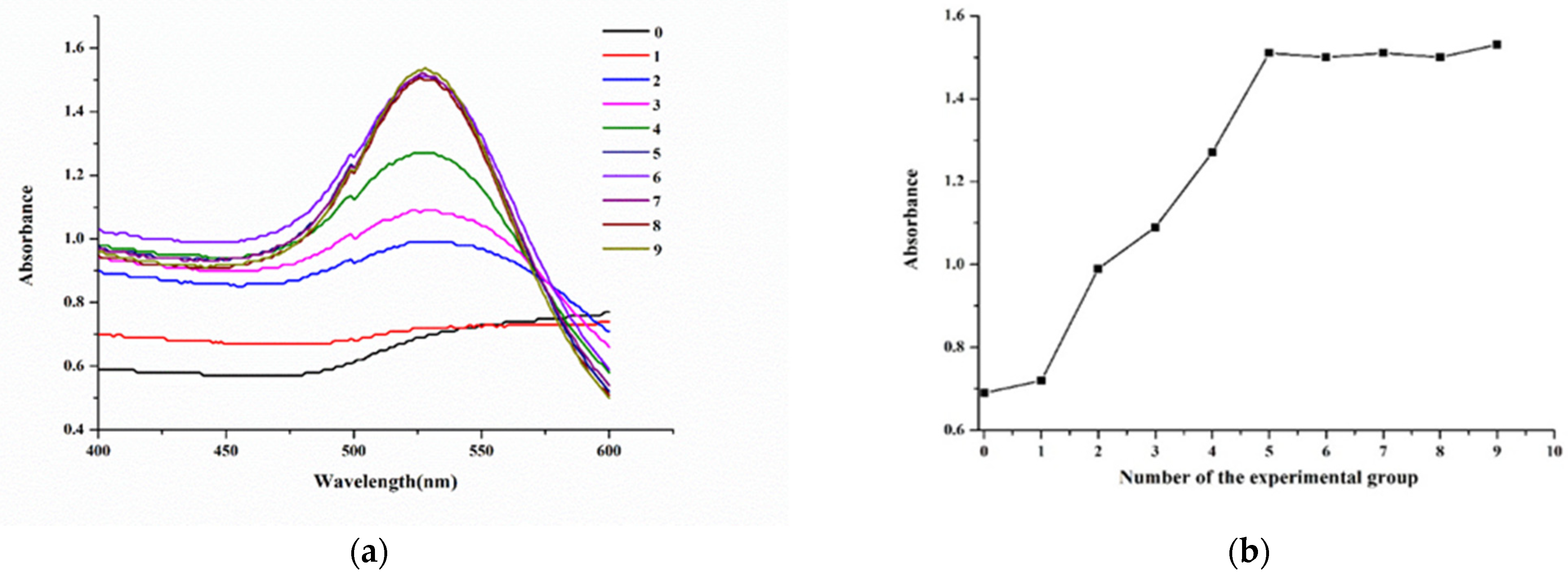 Molecules 29 00013 g004