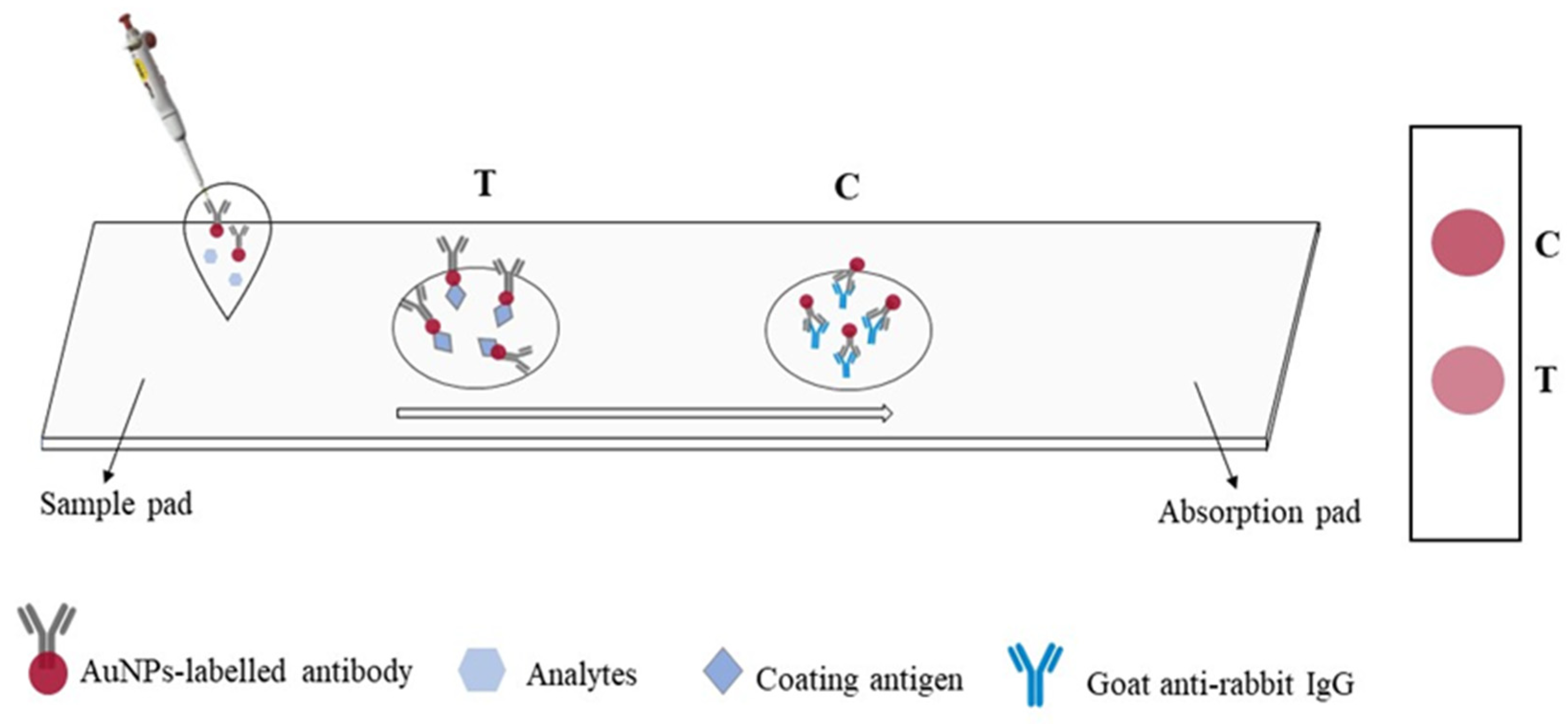 Molecules 29 00013 g005