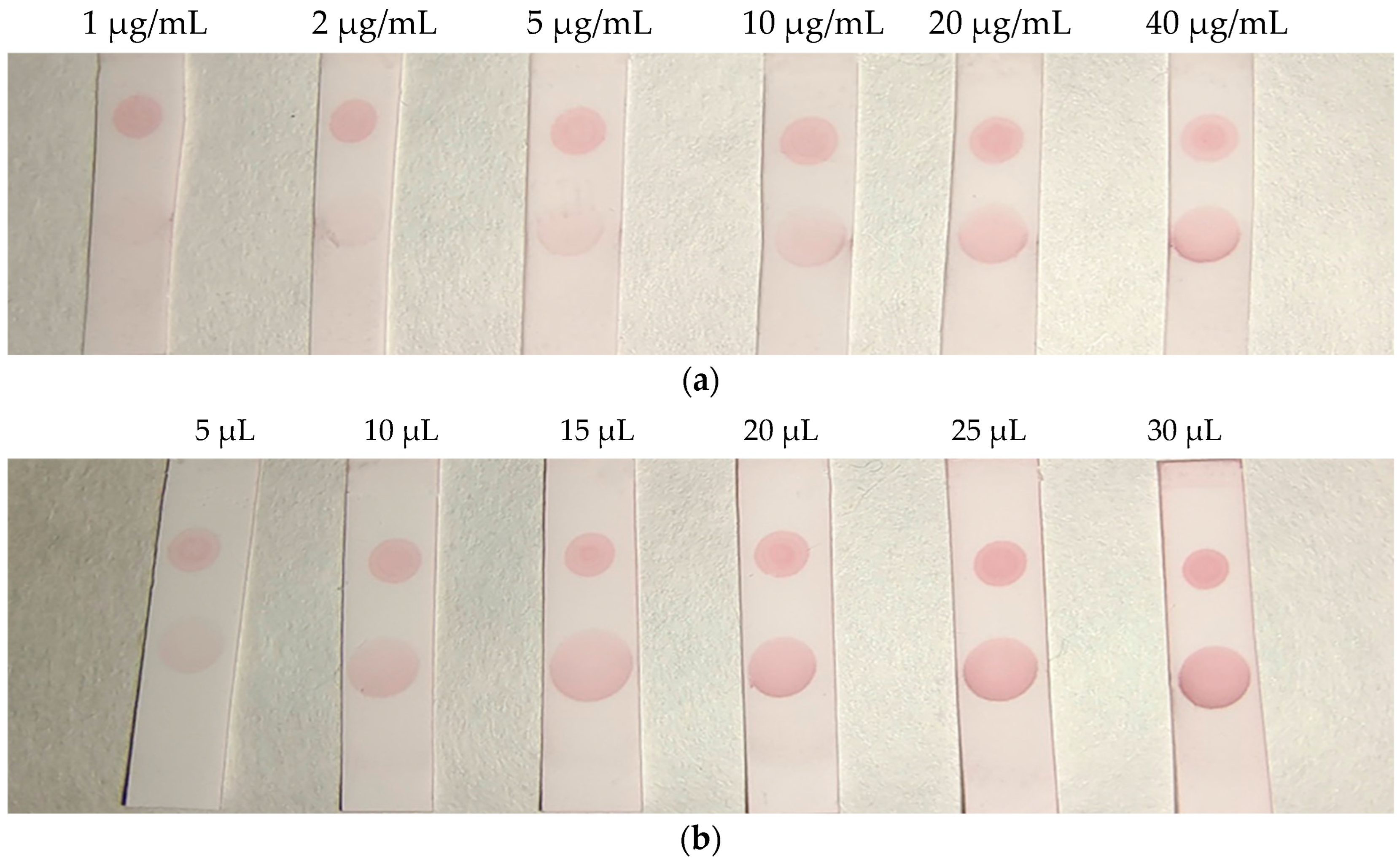 Molecules 29 00013 g006