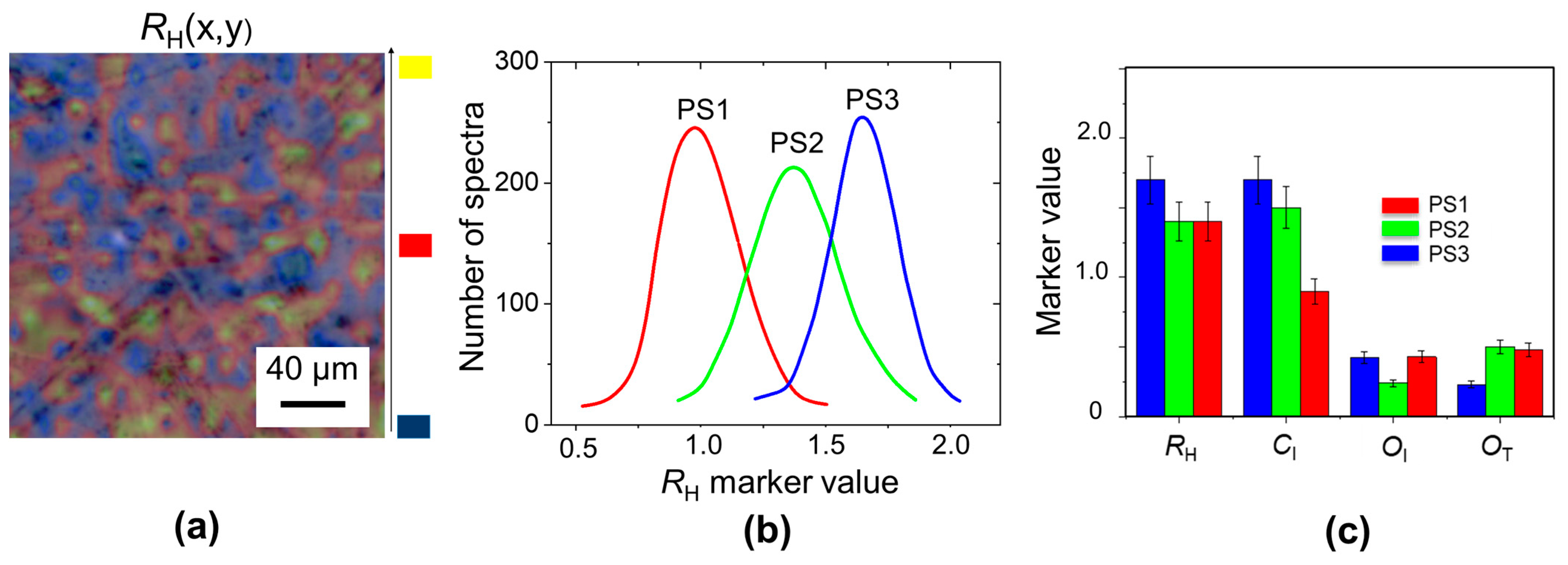 Molecules 29 00015 g002