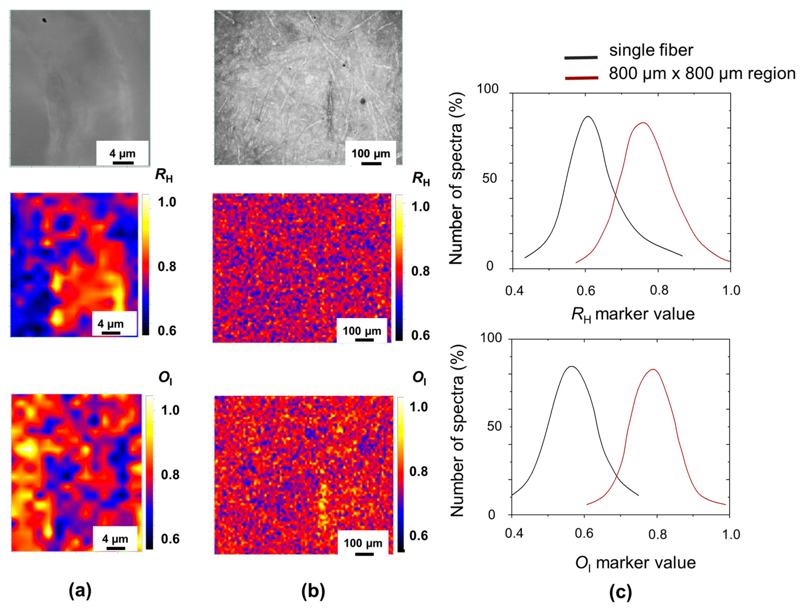 Molecules 29 00015 g003