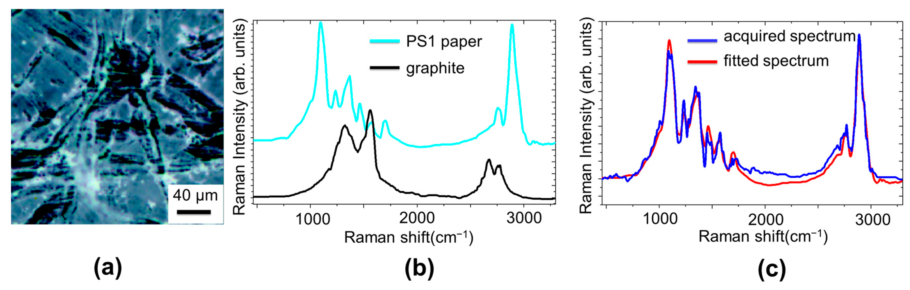 Molecules 29 00015 g004