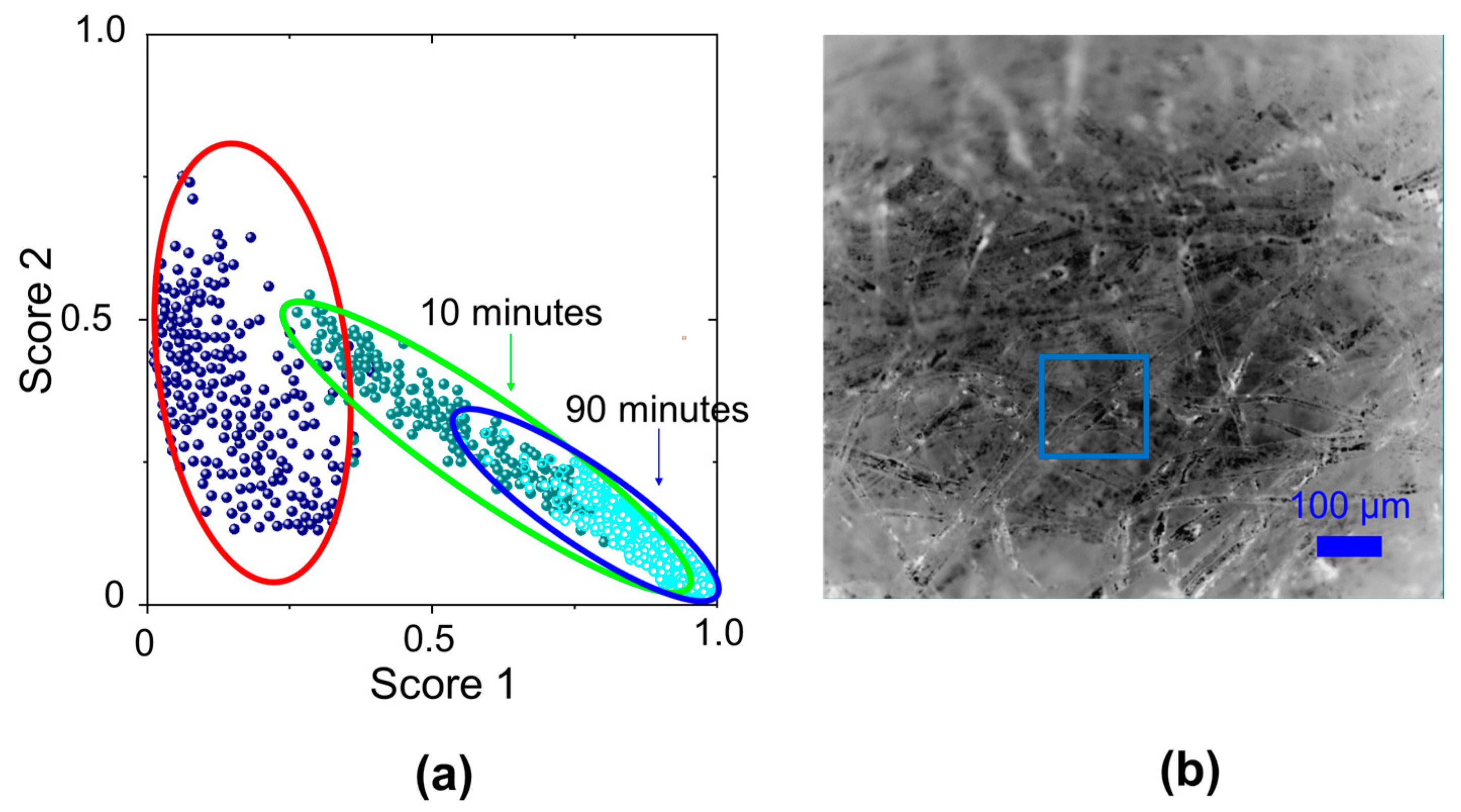 Molecules 29 00015 g005